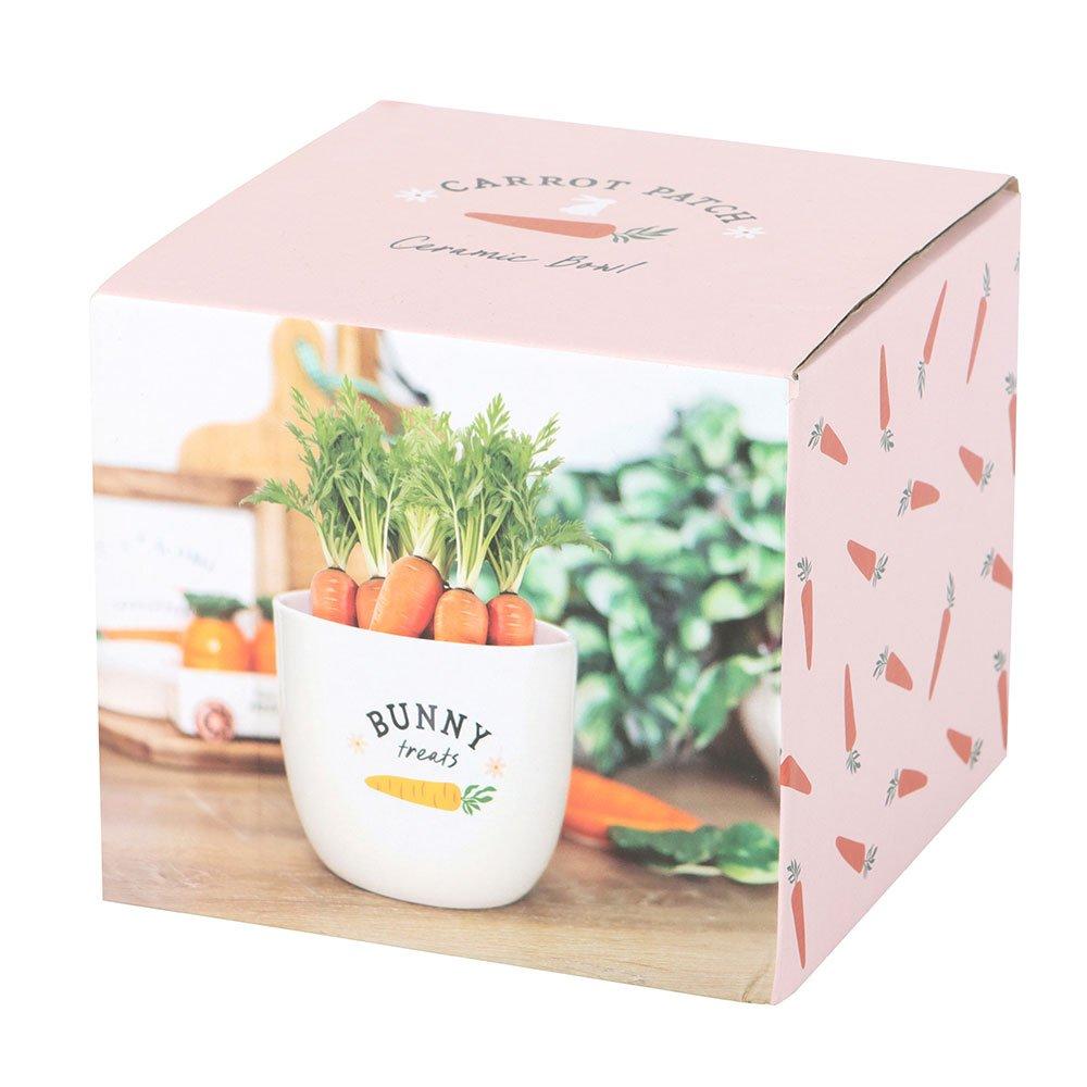 Cream - Something Different - Bunny Treats Ceramic Pot - 2