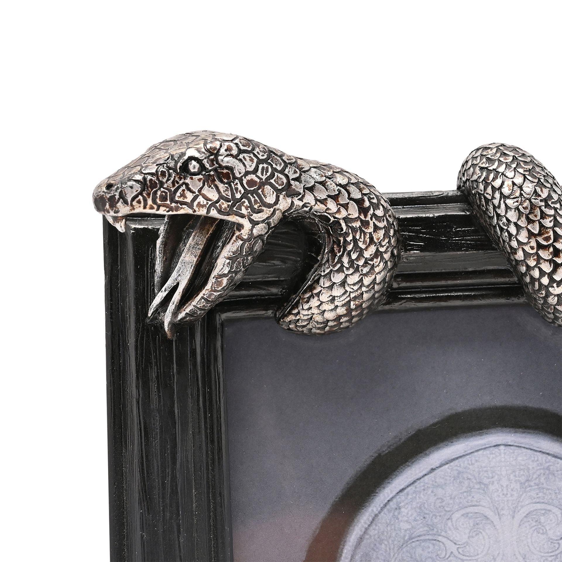 Multi - Harry Potter - Harry Potter Dark Arts Frame Nagini - 4