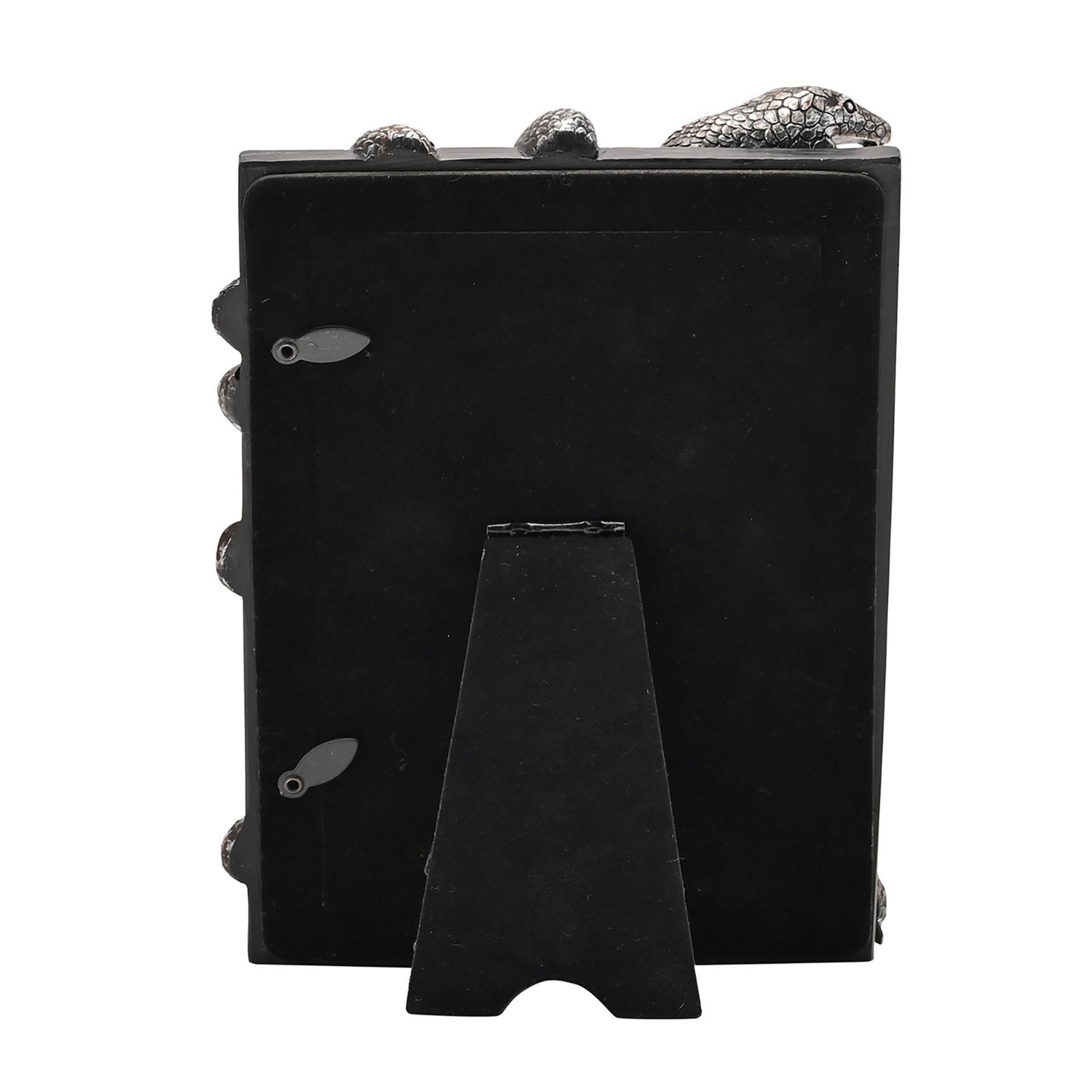 Multi - Harry Potter - Harry Potter Dark Arts Frame Nagini - 5