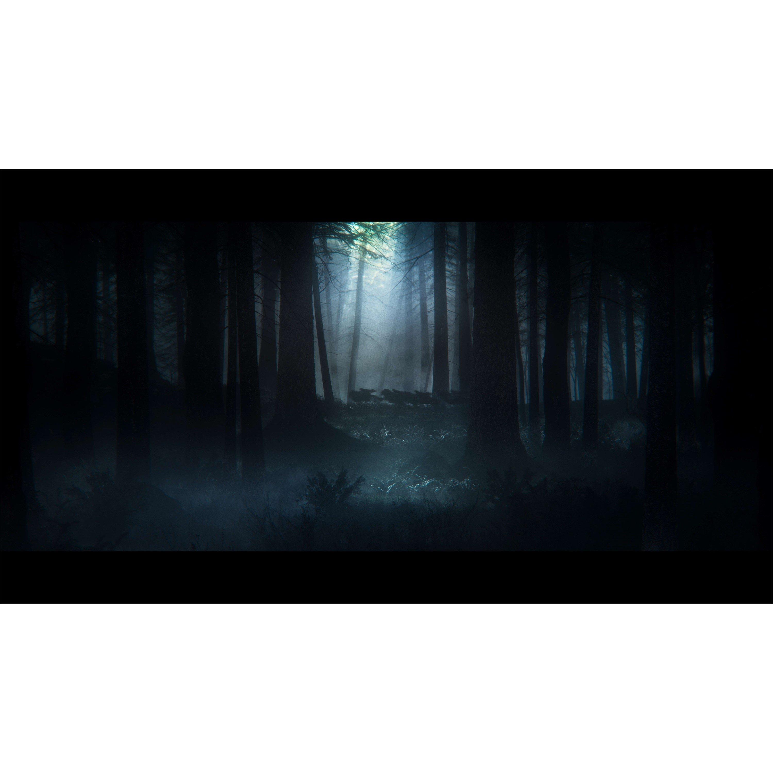 XBS - Bandai Namco Entertainment - Elden Ring Standard Edition - 5