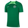 Nigeria Strike Men's  Dri-FIT Short-Sleeve Soccer Top