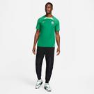 Vert - Nike - Nigeria Strike Men's  Dri-FIT Short-Sleeve Soccer Top - 8