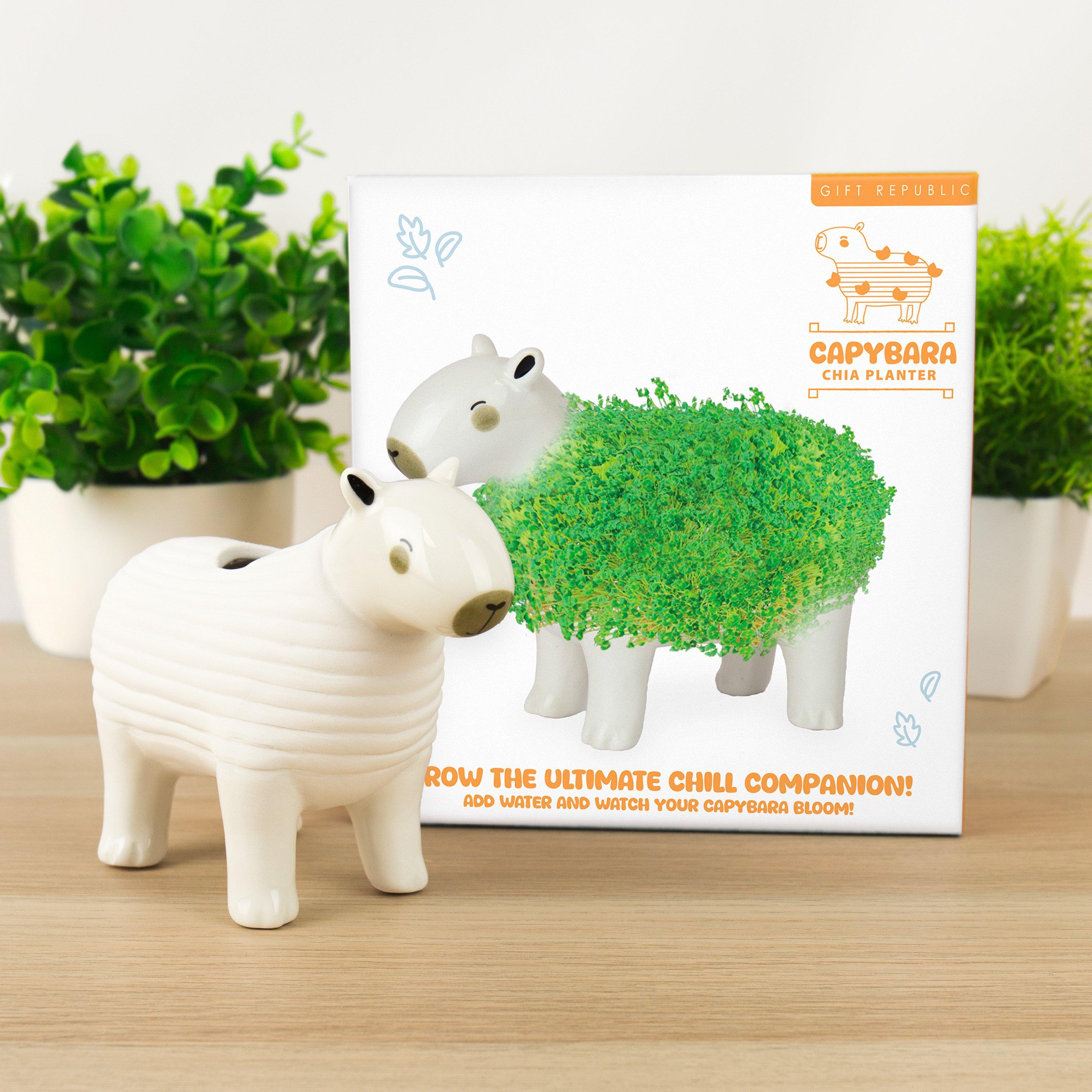 Multi - Gift Republic - CAPYBARA CHIA PLANTER - 1