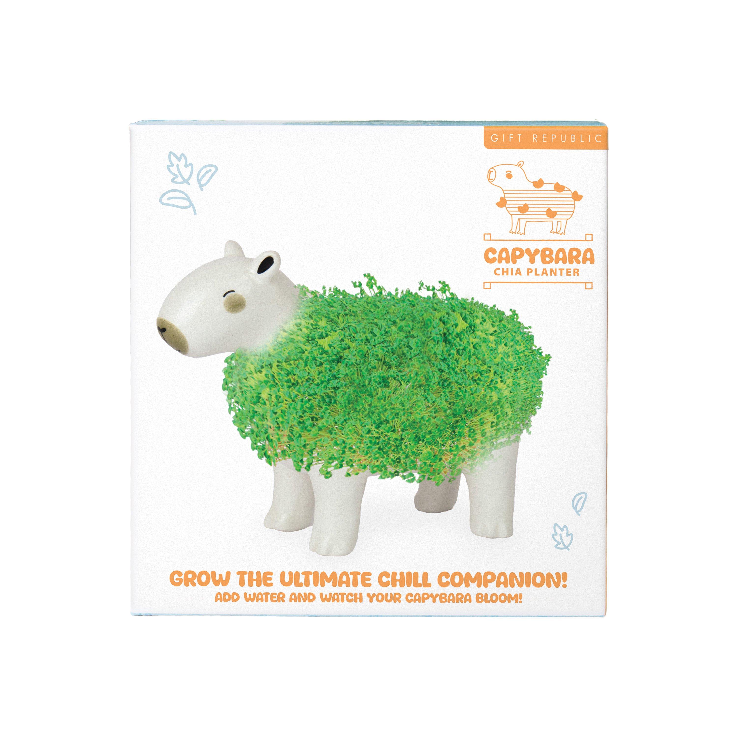Multi - Gift Republic - CAPYBARA CHIA PLANTER - 5