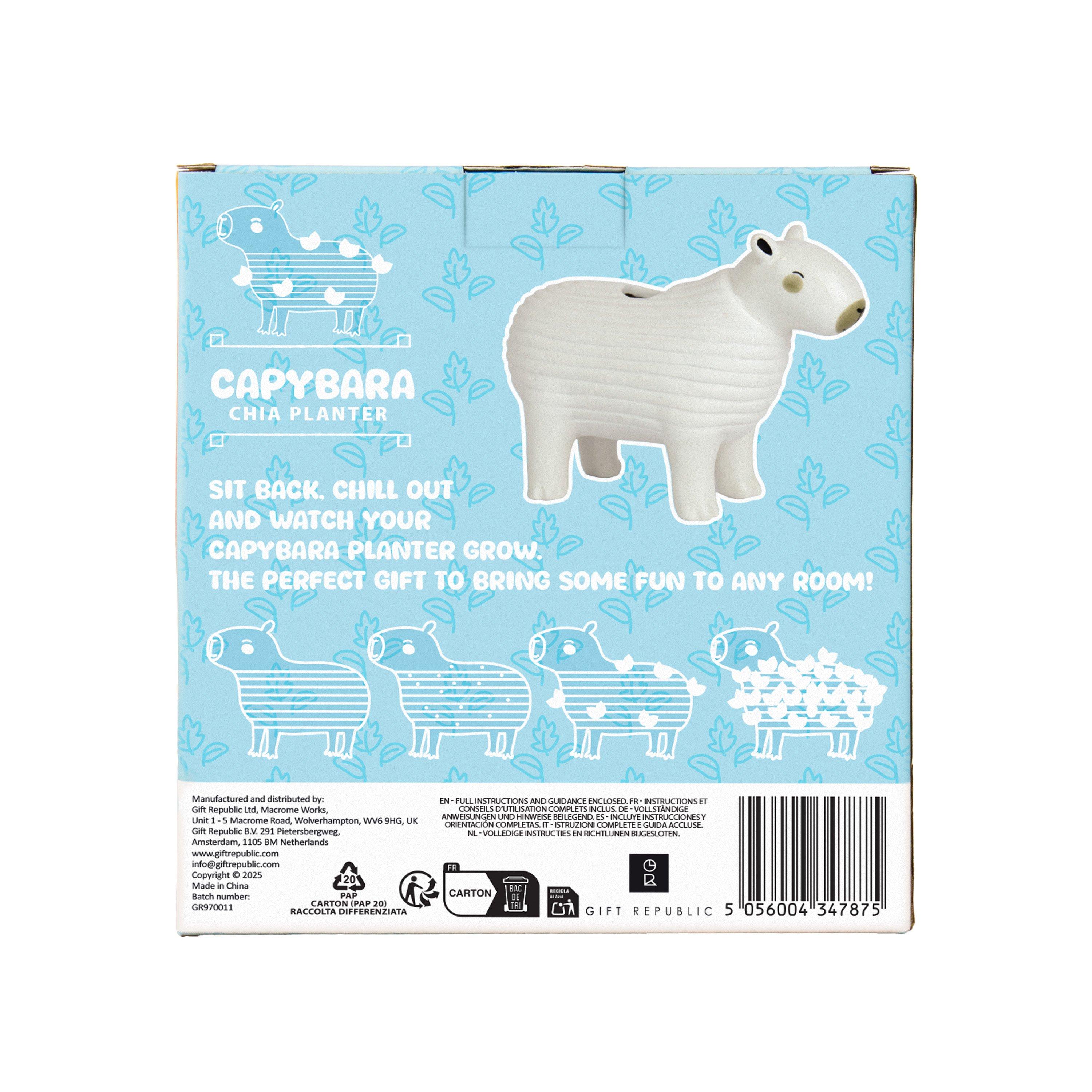 Multi - Gift Republic - CAPYBARA CHIA PLANTER - 6