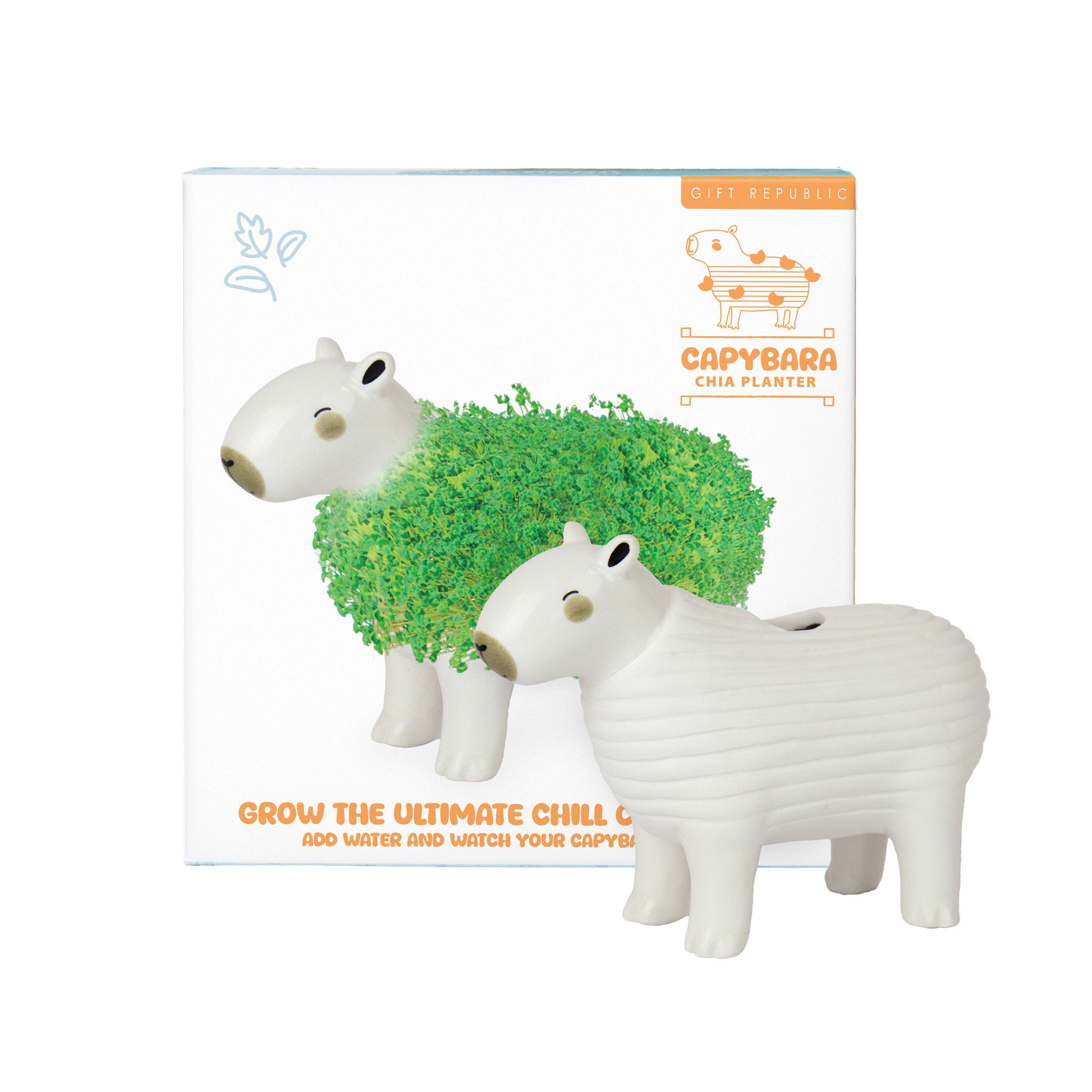 Multi - Gift Republic - CAPYBARA CHIA PLANTER - 7