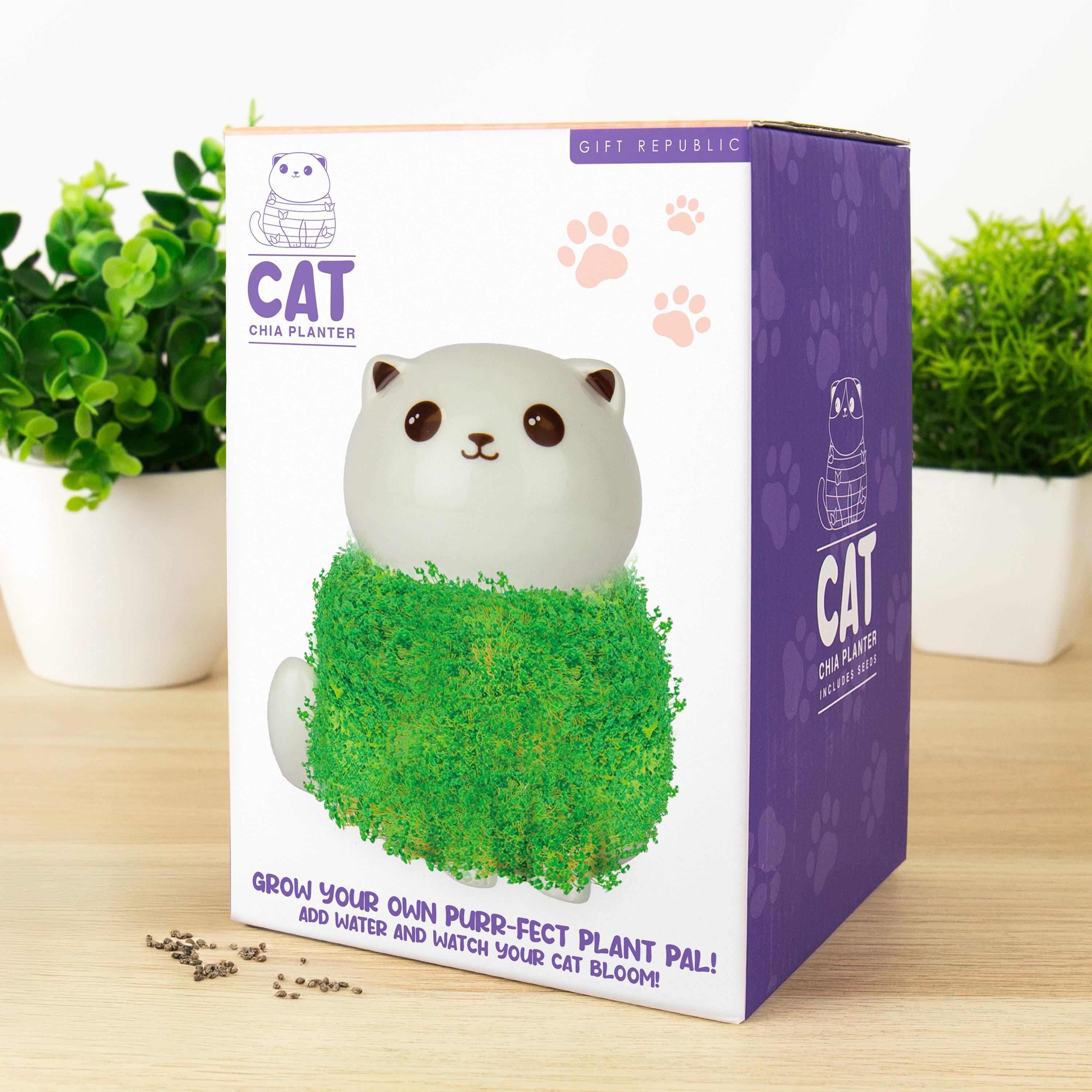 Gift Republic  Cat Chia Planter - 