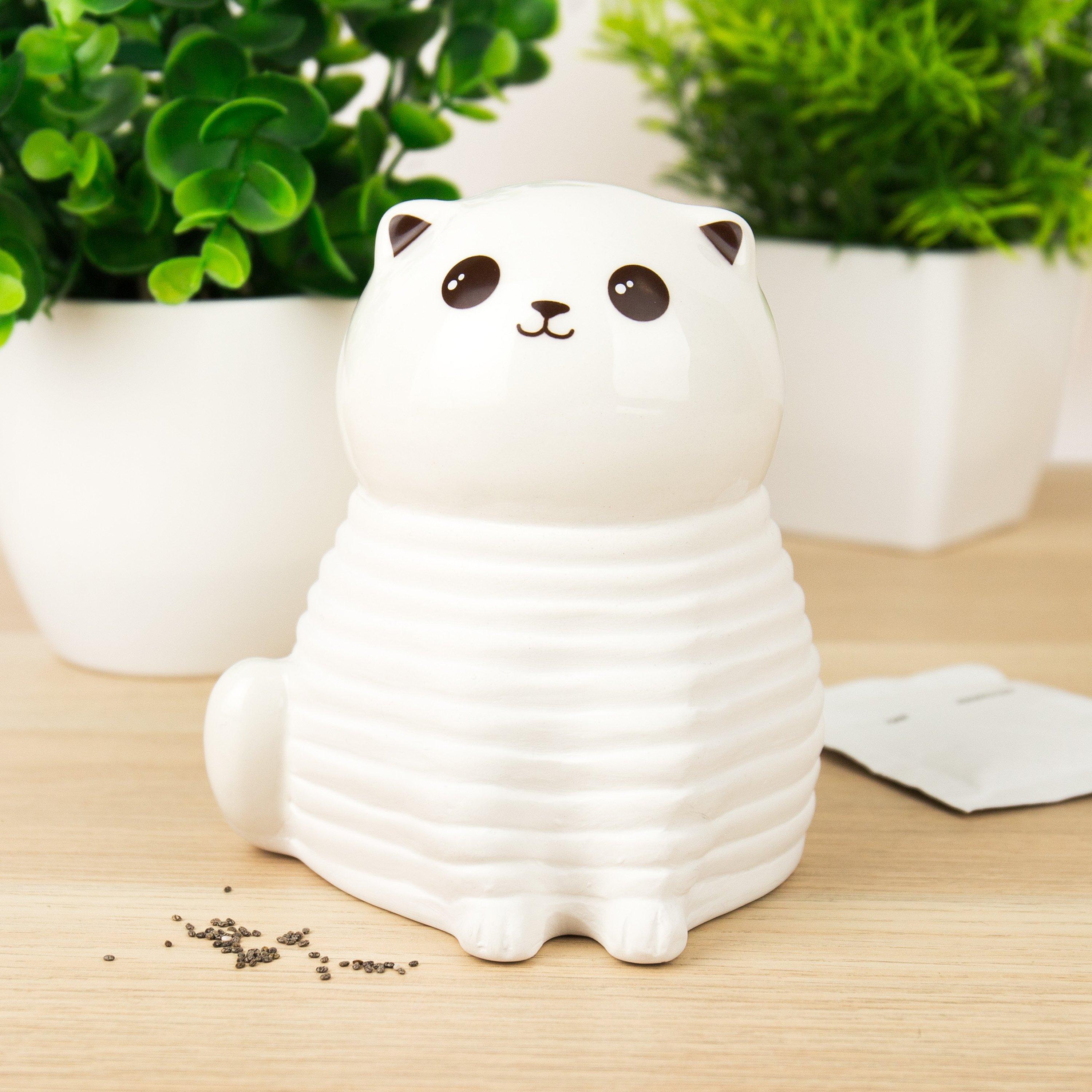 Multi - Gift Republic - CAT CHIA PLANTER - 2