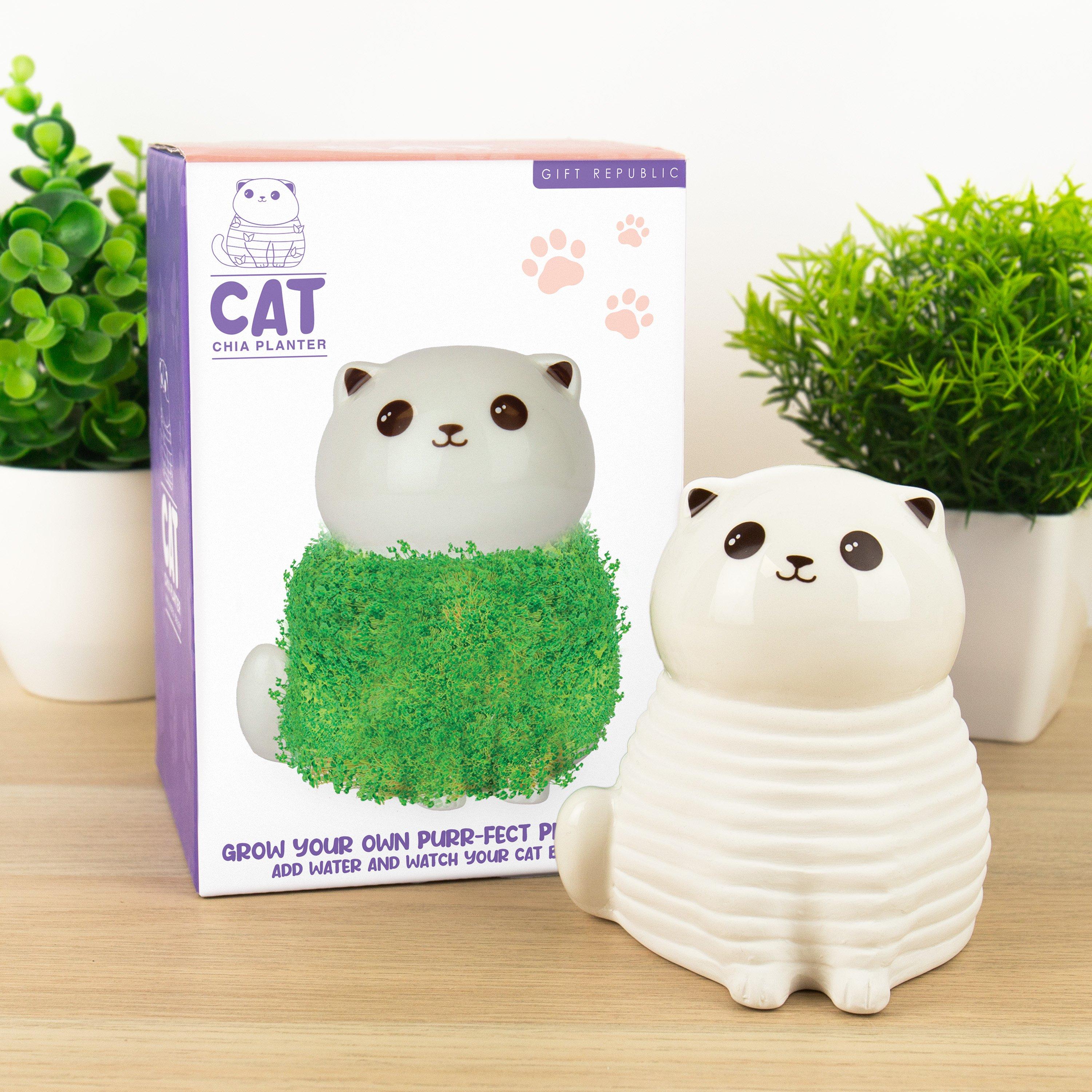 Multi - Gift Republic - CAT CHIA PLANTER - 3