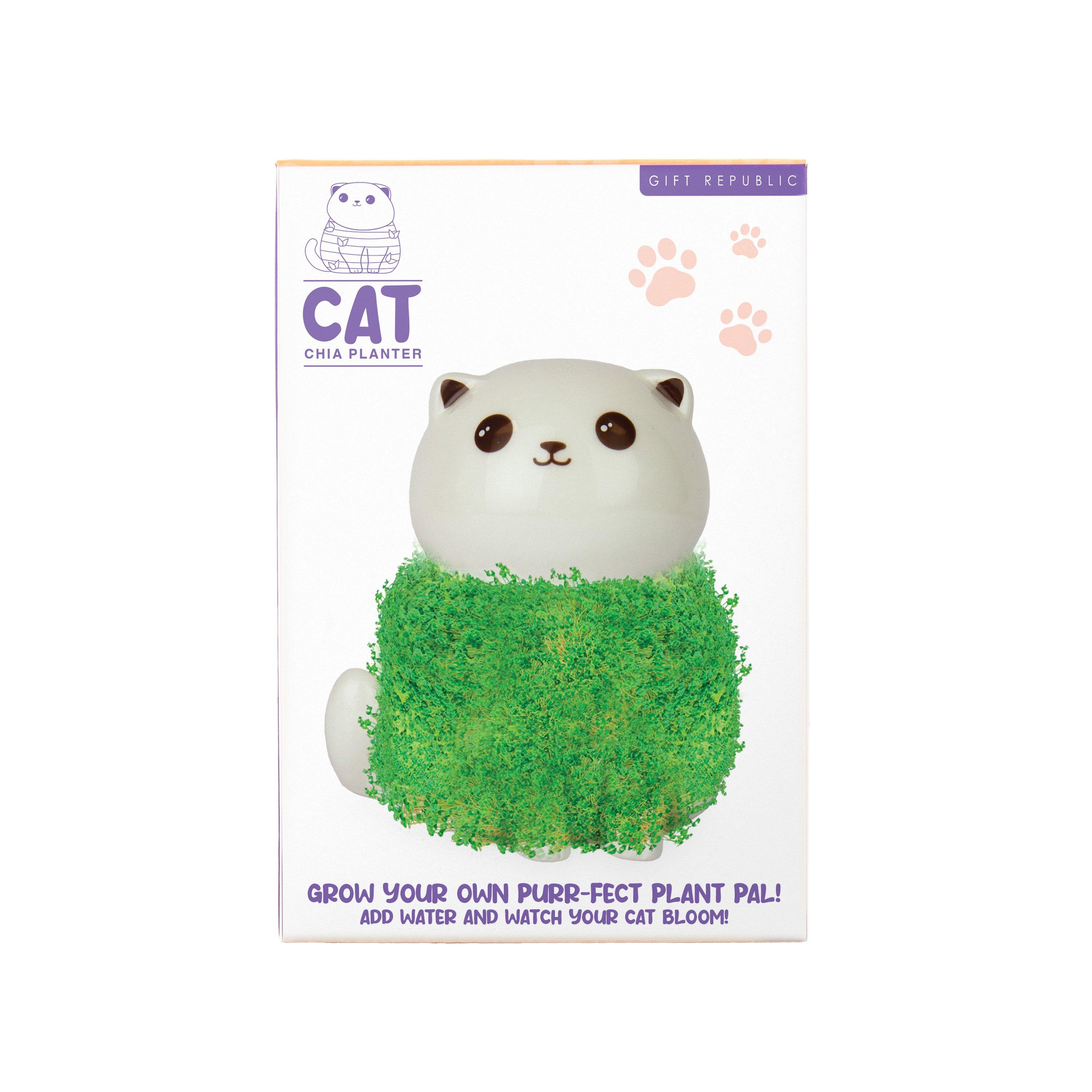 Multi - Gift Republic - CAT CHIA PLANTER - 6