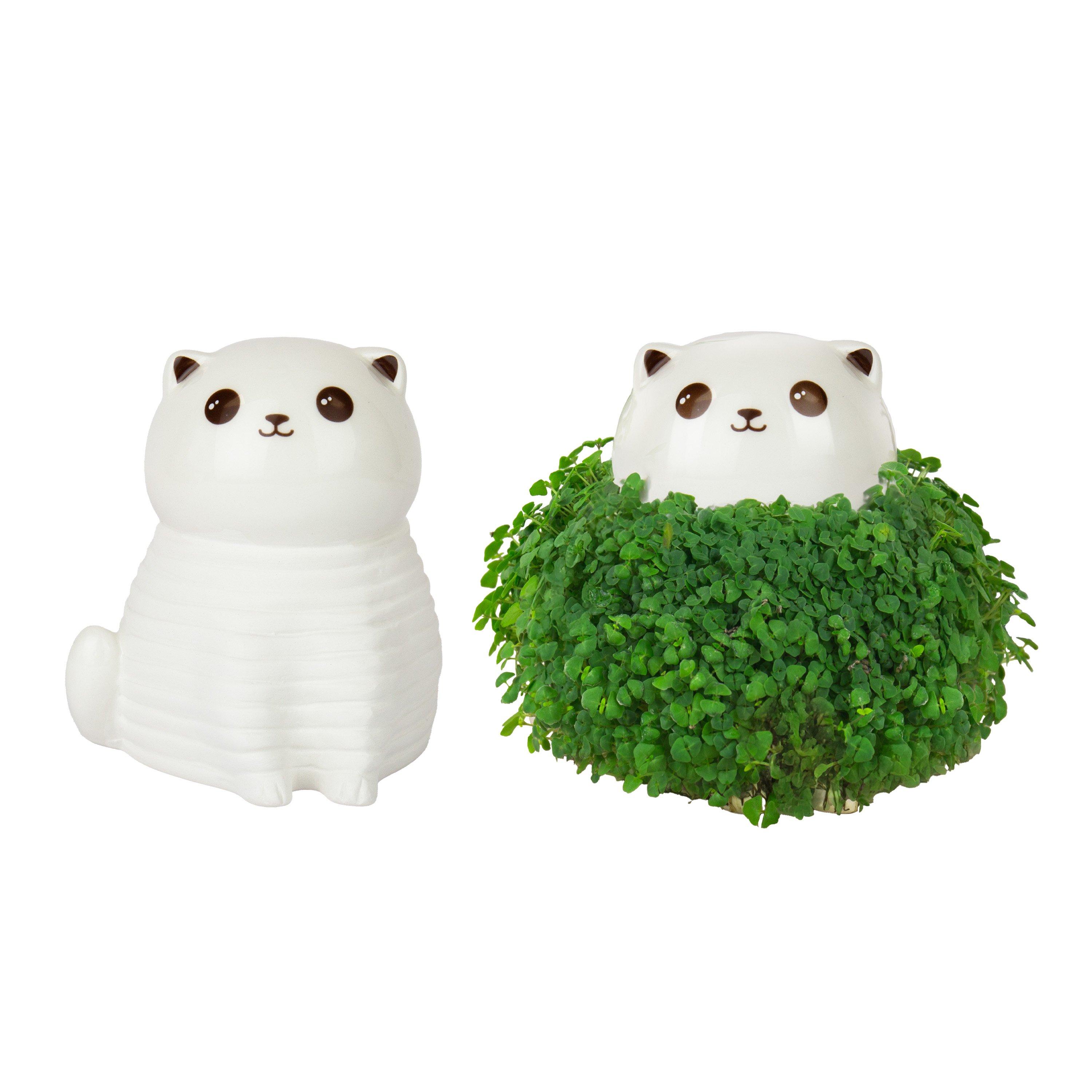 Multi - Gift Republic - CAT CHIA PLANTER - 8