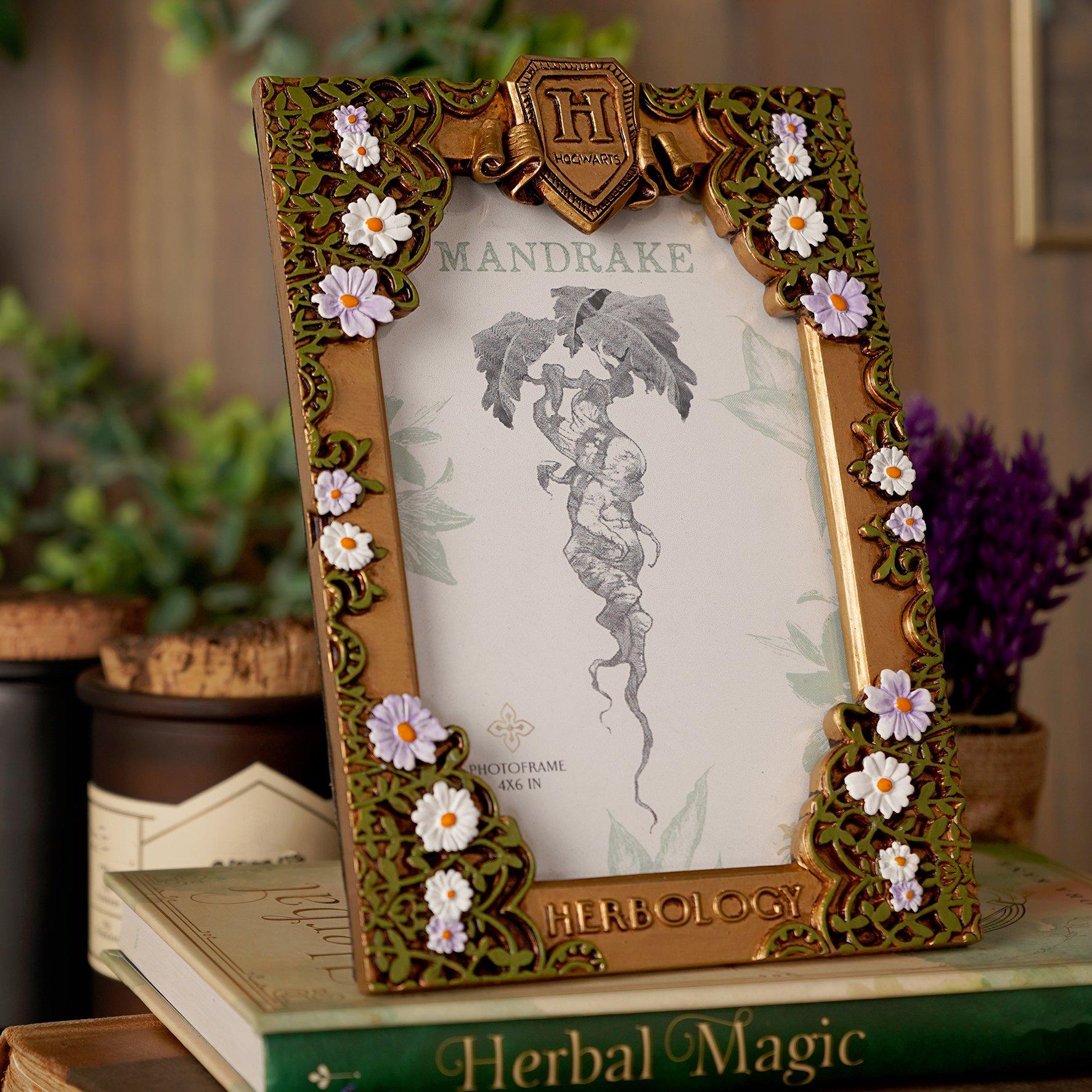 Harry Potter  Herbology Frame -  - 6in x 4in