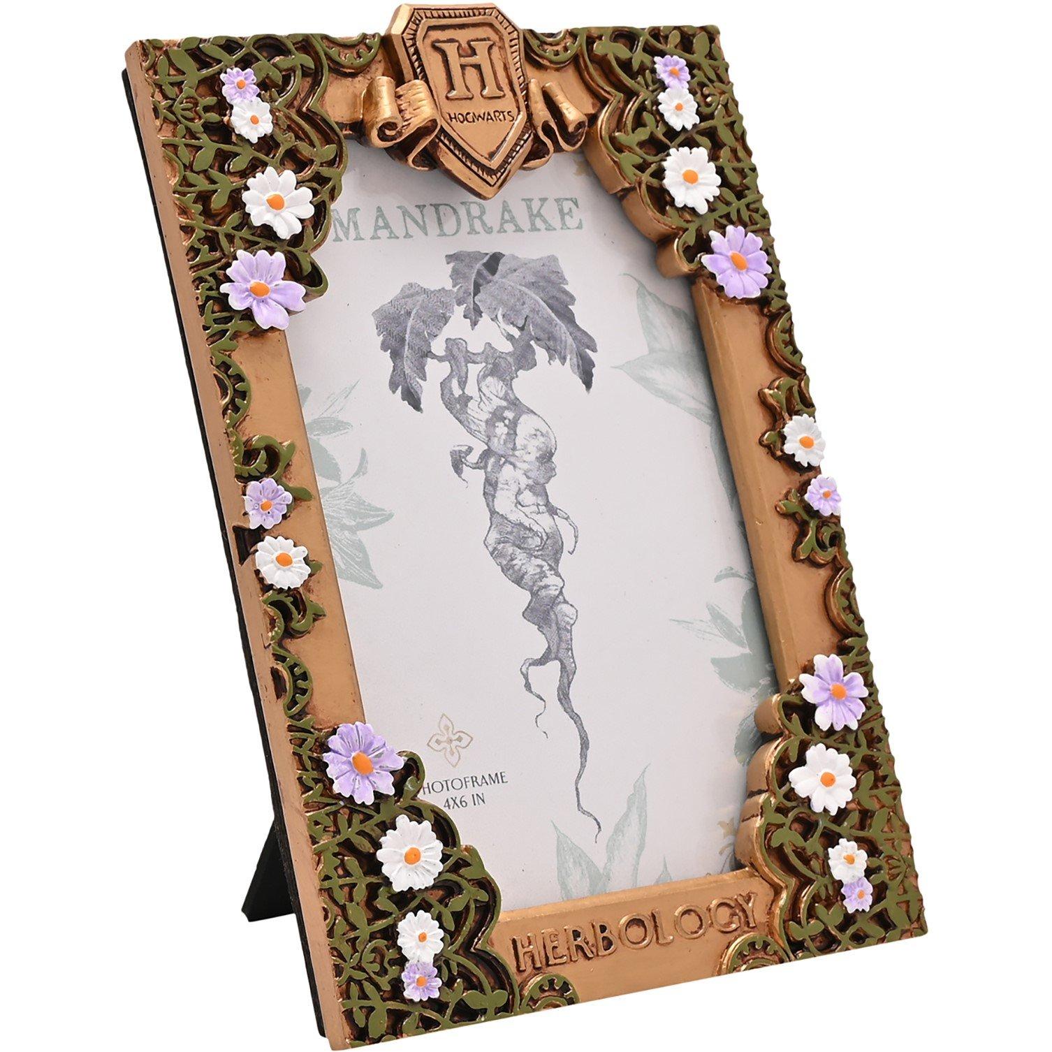 Multi - Harry Potter - Harry Potter Herbology Frame - 3
