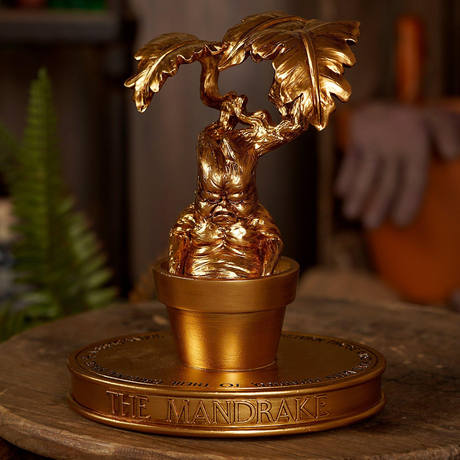 Gold - Harry Potter - Harry Potter Herbology Figurine Mandrake - 1