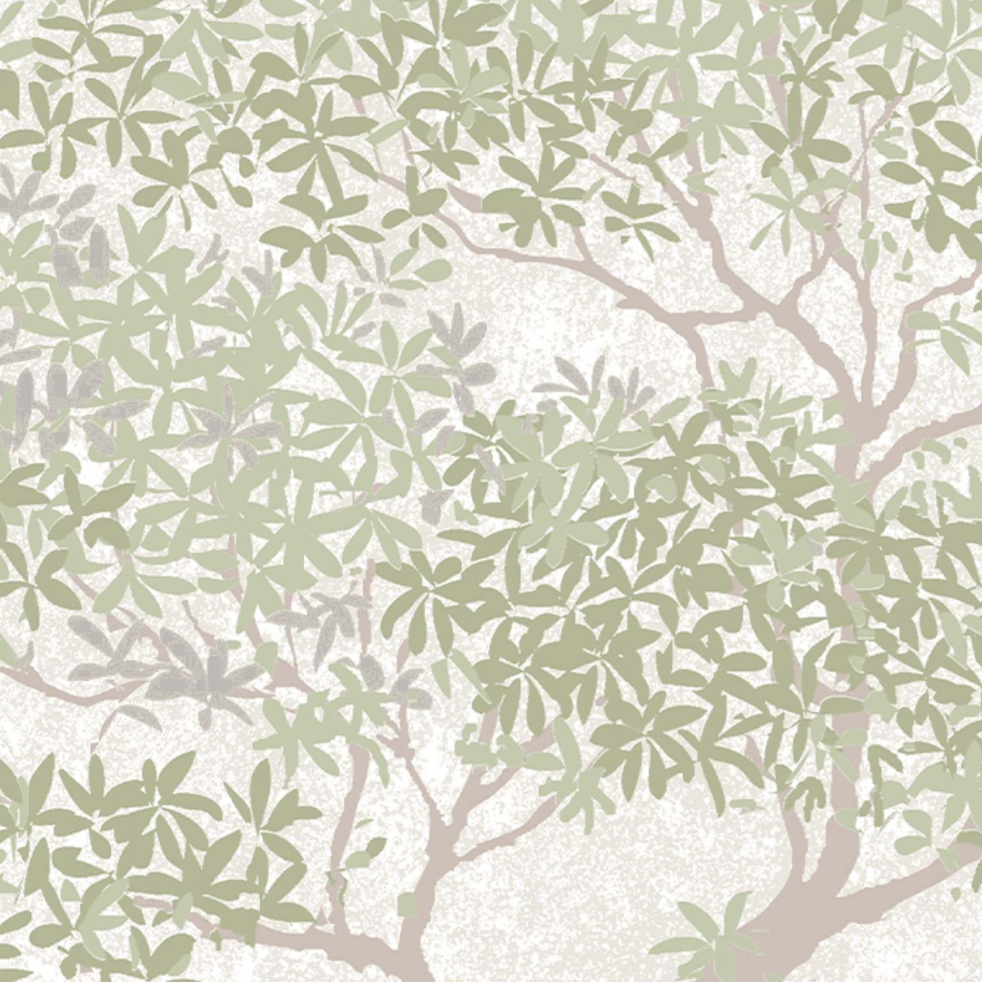 Sage - Superfresco - Superfresco Elmwood Sage Wallpaper - 4