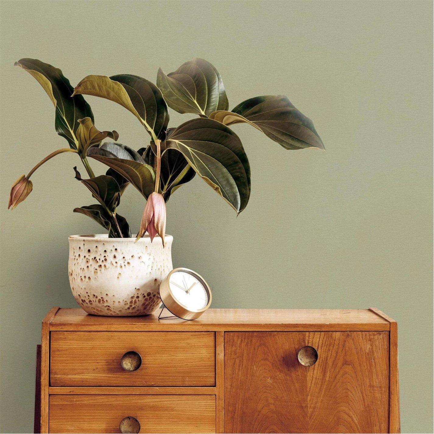 Sage - Superfresco Easy - Amour Sage Texture Wallpaper - 1