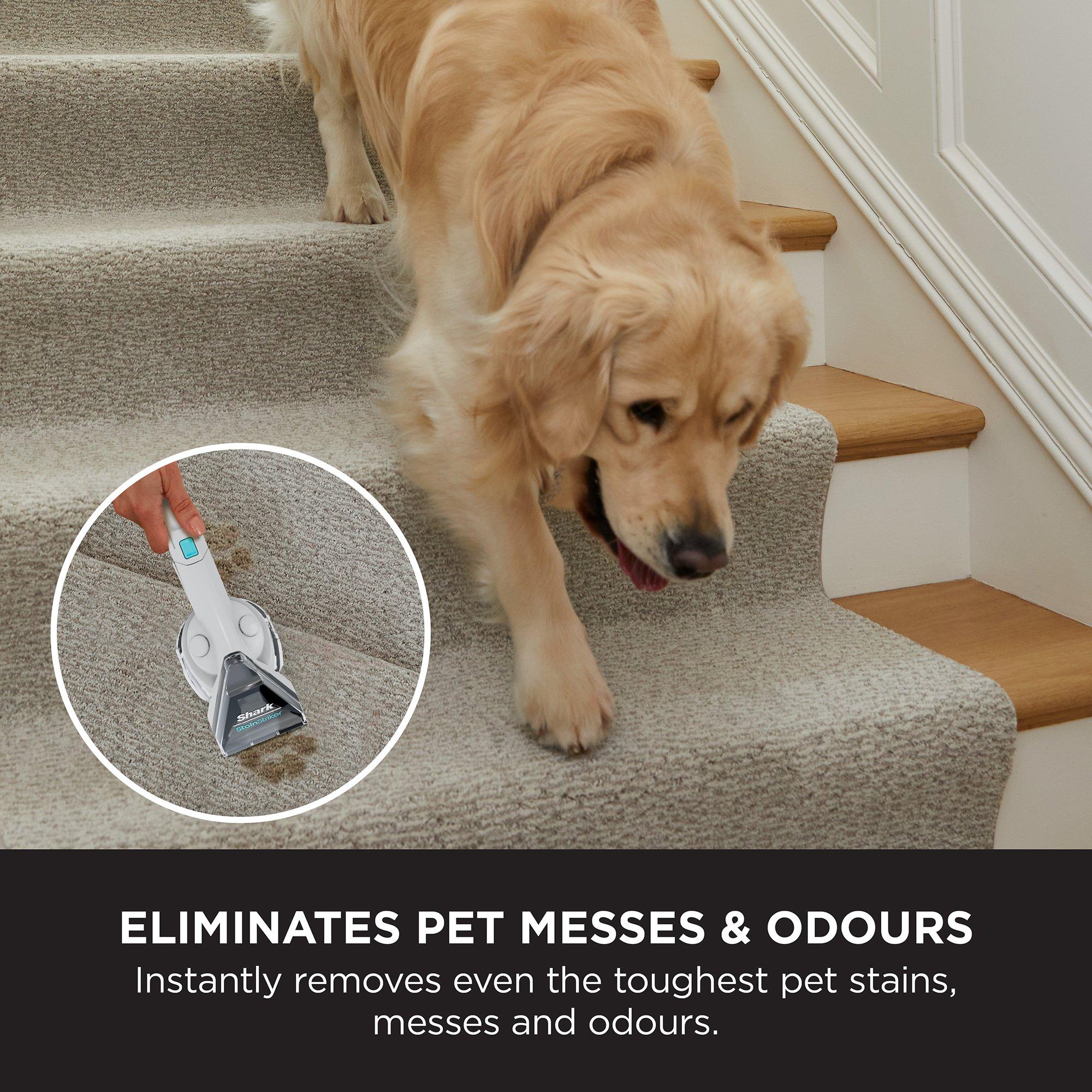 Rotator White - Shark - Shark StainStriker Pet Stain&Spot Cleaner PX200UKT - 5