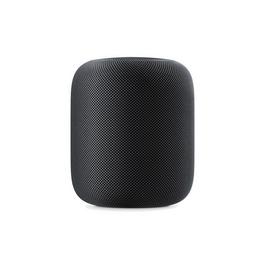 Apple GAME Homepod Premium Space Grey Refurbished