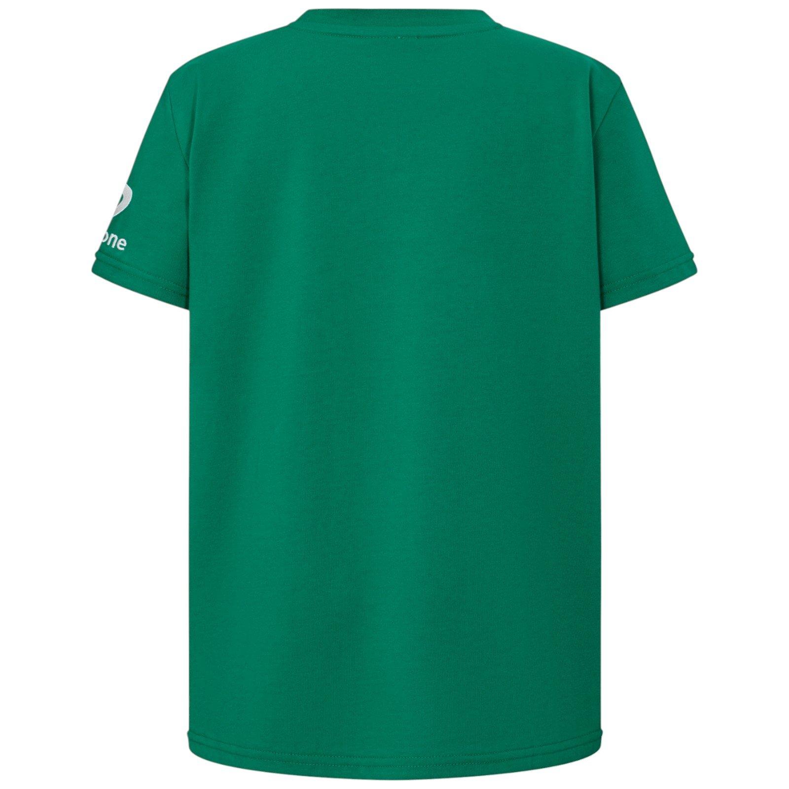 Green - Canterbury - Ireland Team T-Shirt Junior - 2