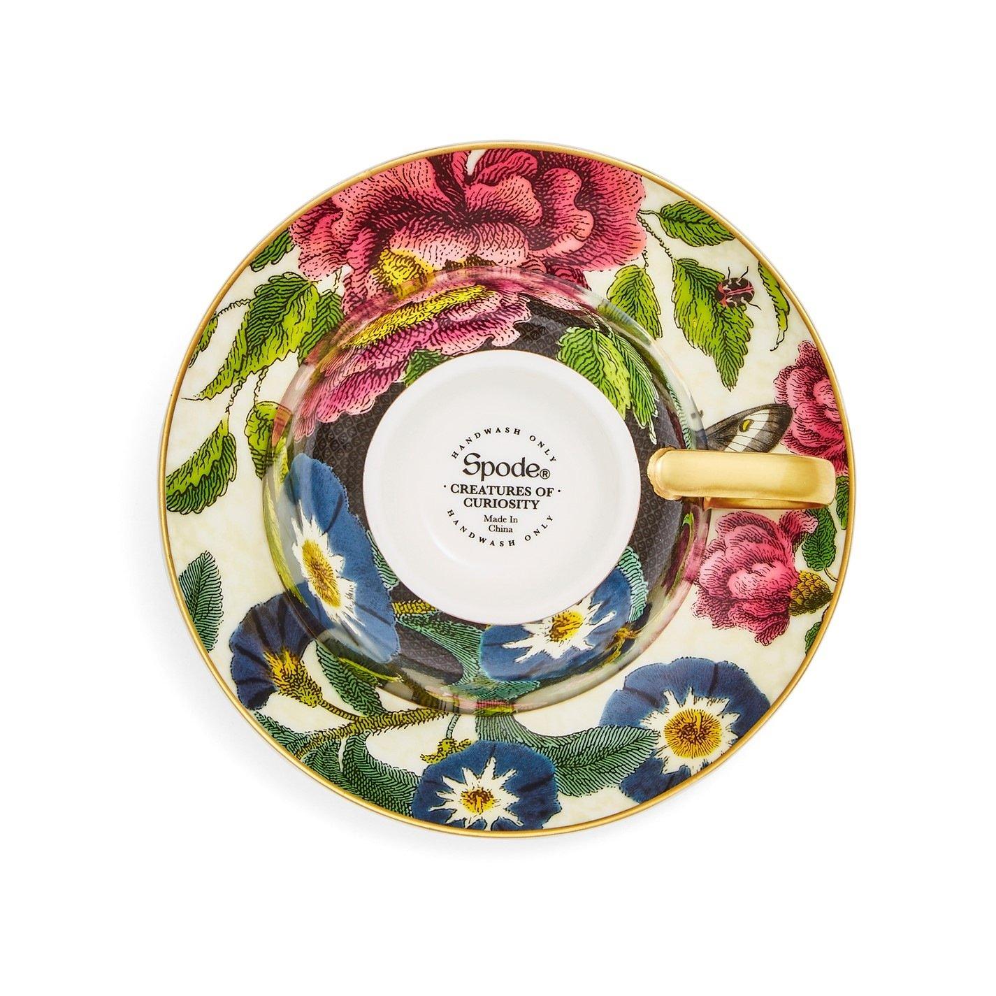 Multi - Spode Creatures of Curiosity - Creatures of Curiosity Dark Teacup & Saucer - 5