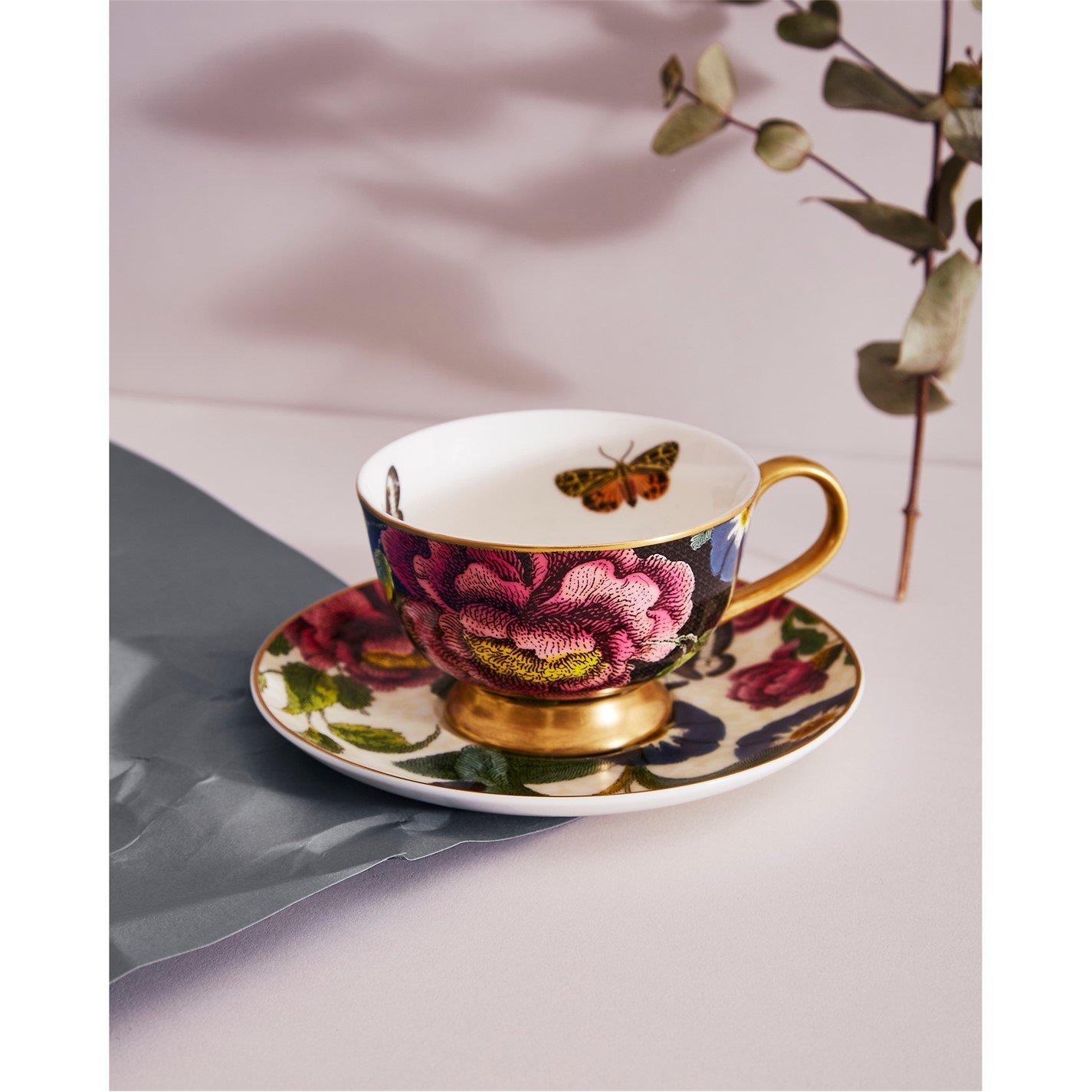 Multi - Spode Creatures of Curiosity - Creatures of Curiosity Dark Teacup & Saucer - 7