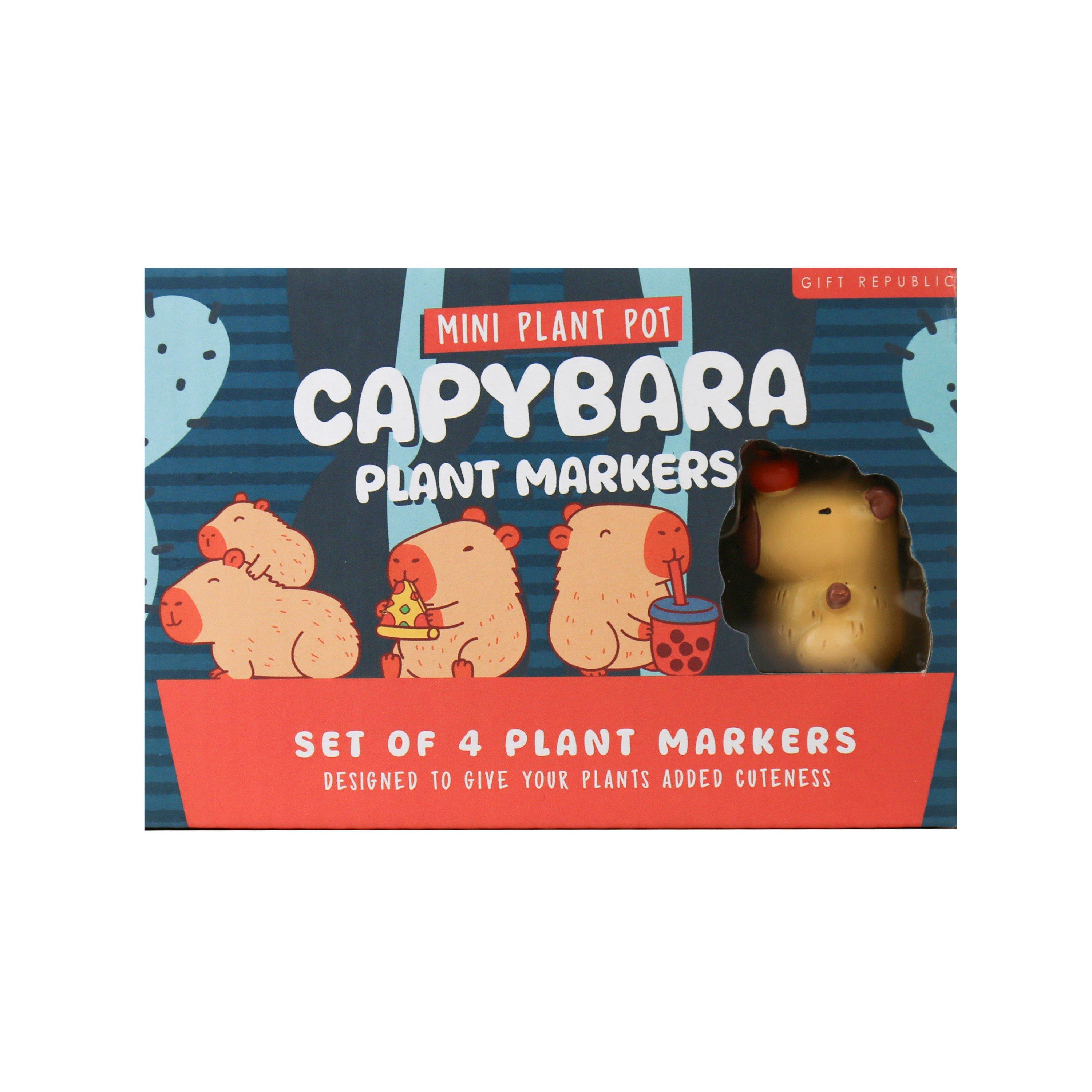 Gift Republic  Capybara Plant Pot Markers  Of 4 - 