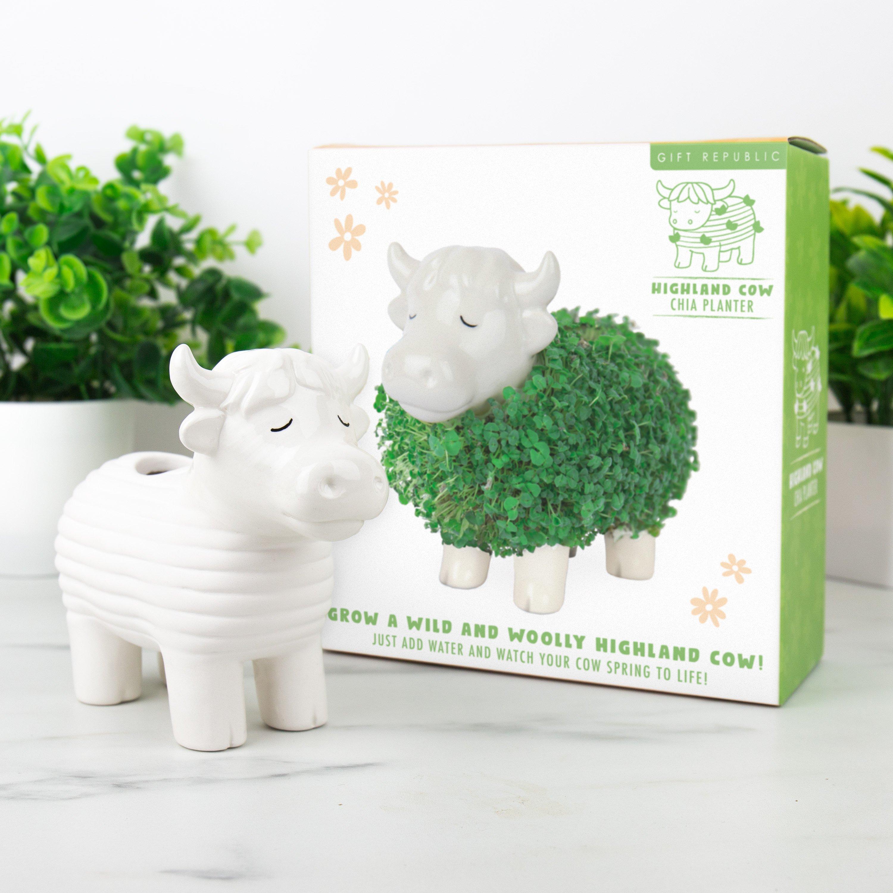 Multi - Gift Republic - Highland Cow Chia Planter - 1