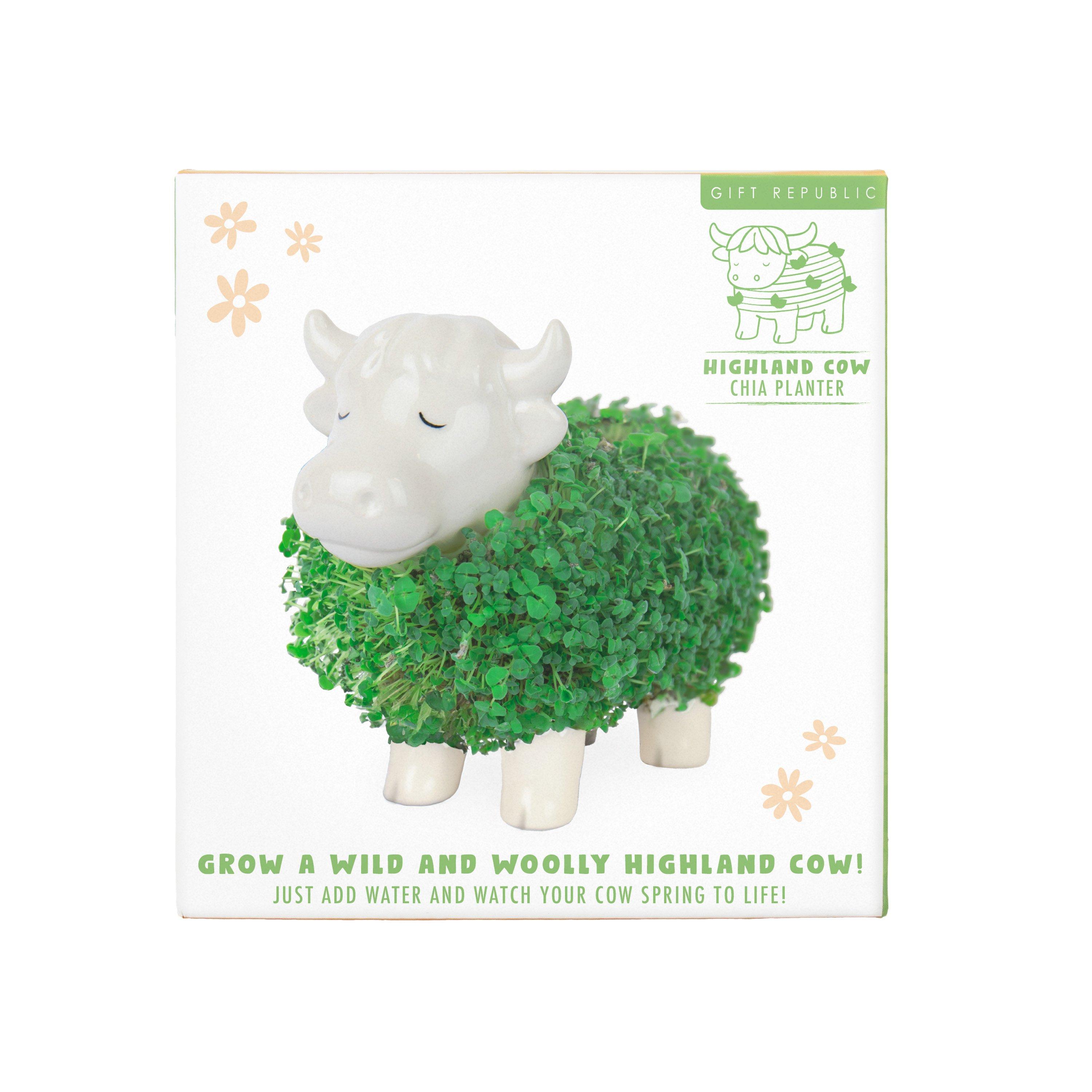 Multi - Gift Republic - Highland Cow Chia Planter - 4