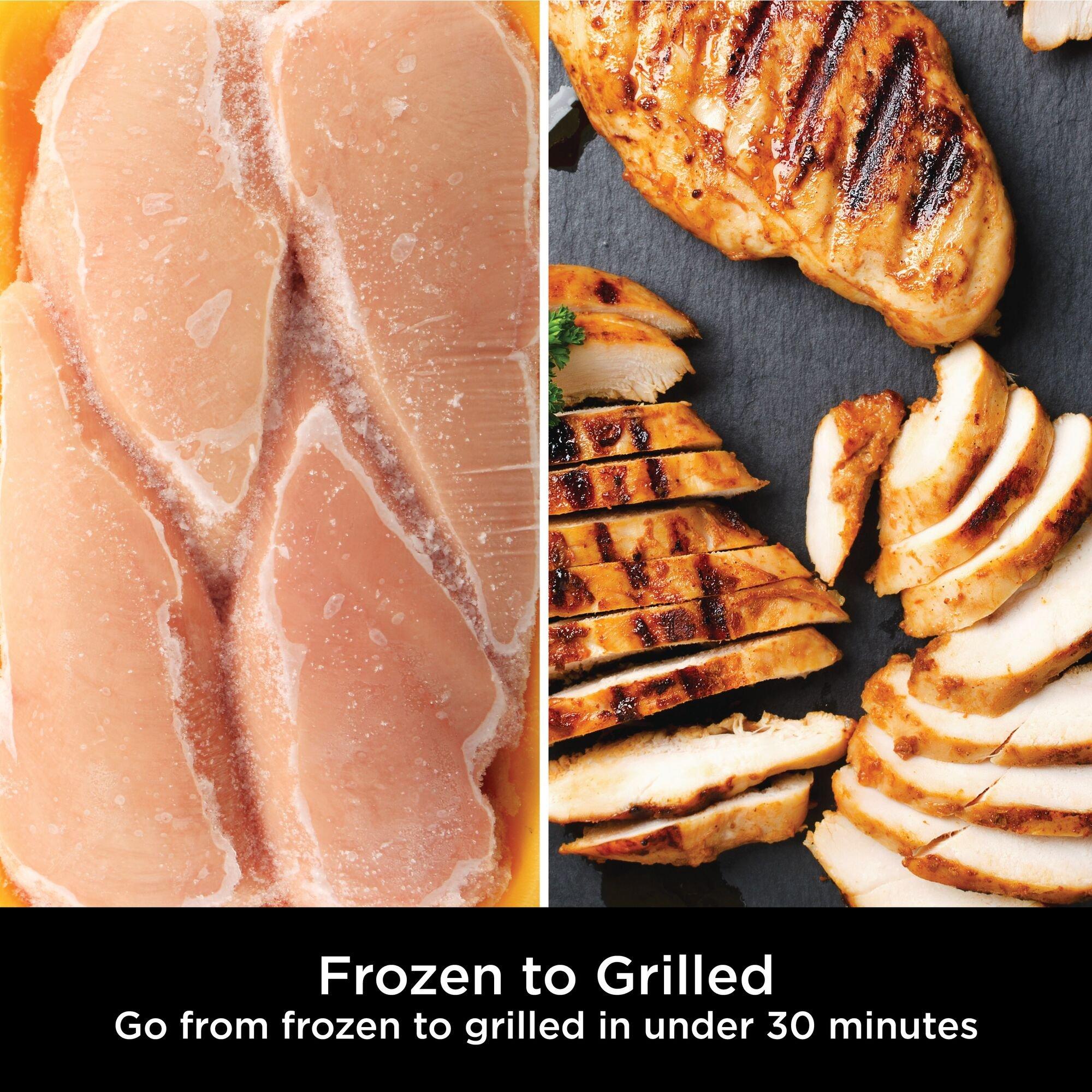 Silver/Black - Ninja - Foodi Max Pro Health Grill - 16