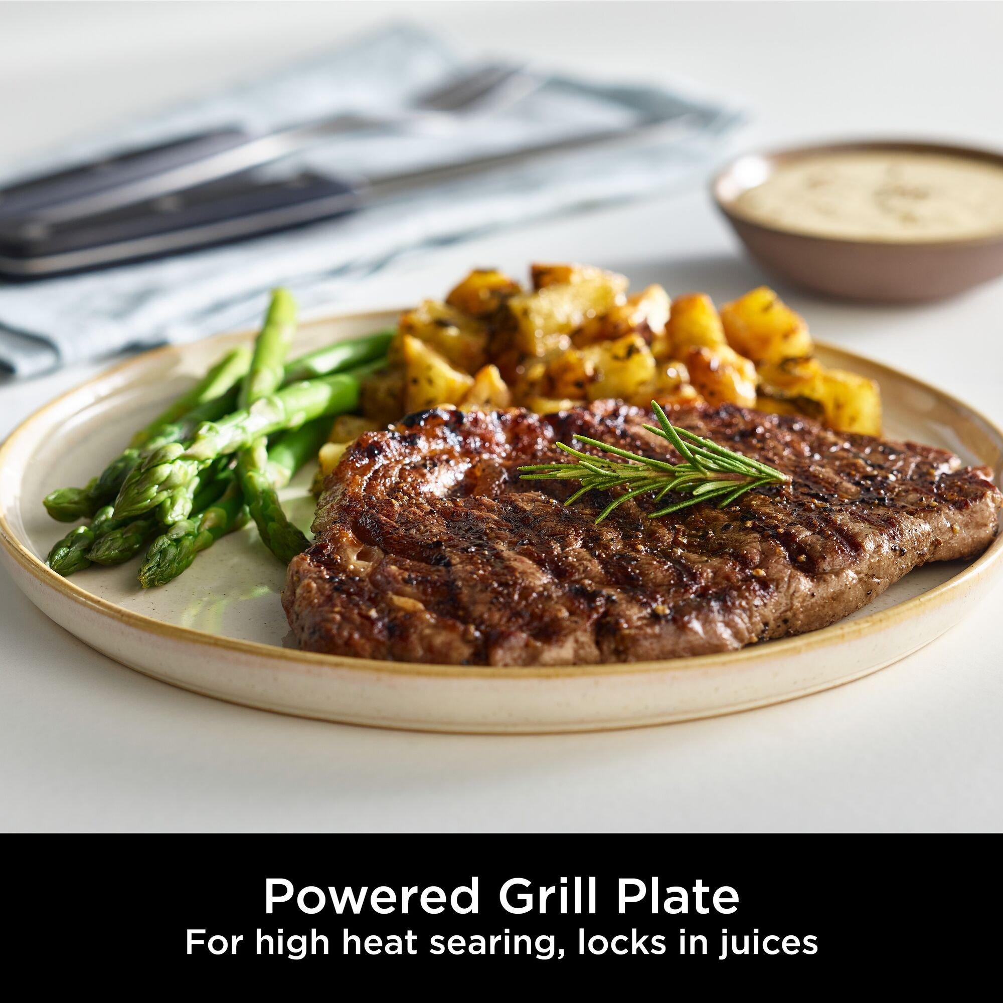 Silver/Black - Ninja - Foodi Max Pro Health Grill - 7