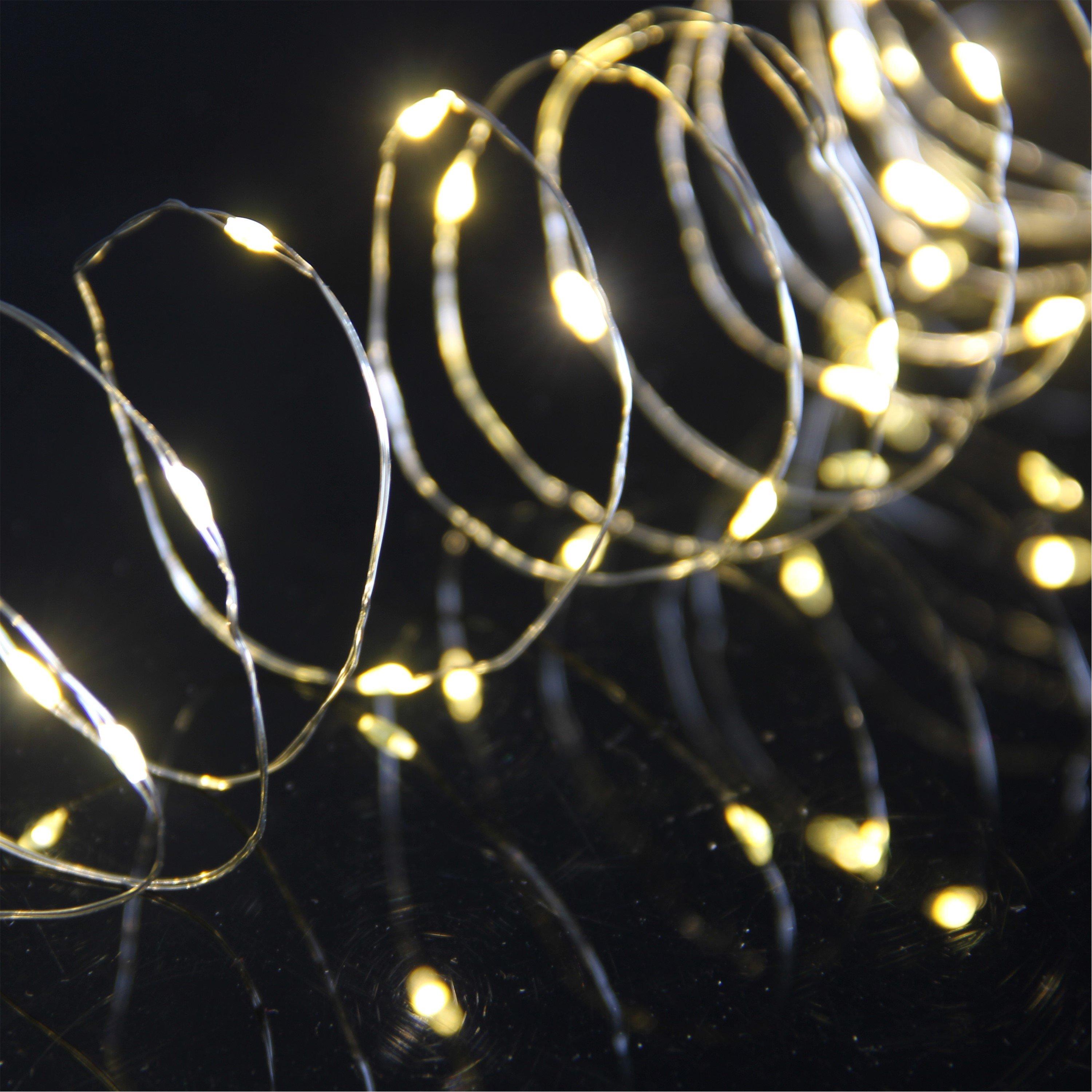 Warm White - Snowtime - 240 Warm White Micro LED Twinkling Lights