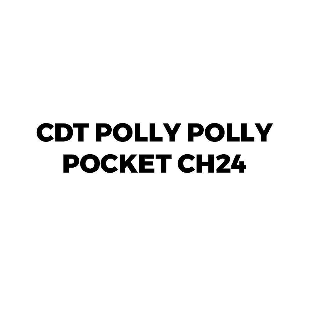 Polly Pocket  Polly Ch24 -  Format An