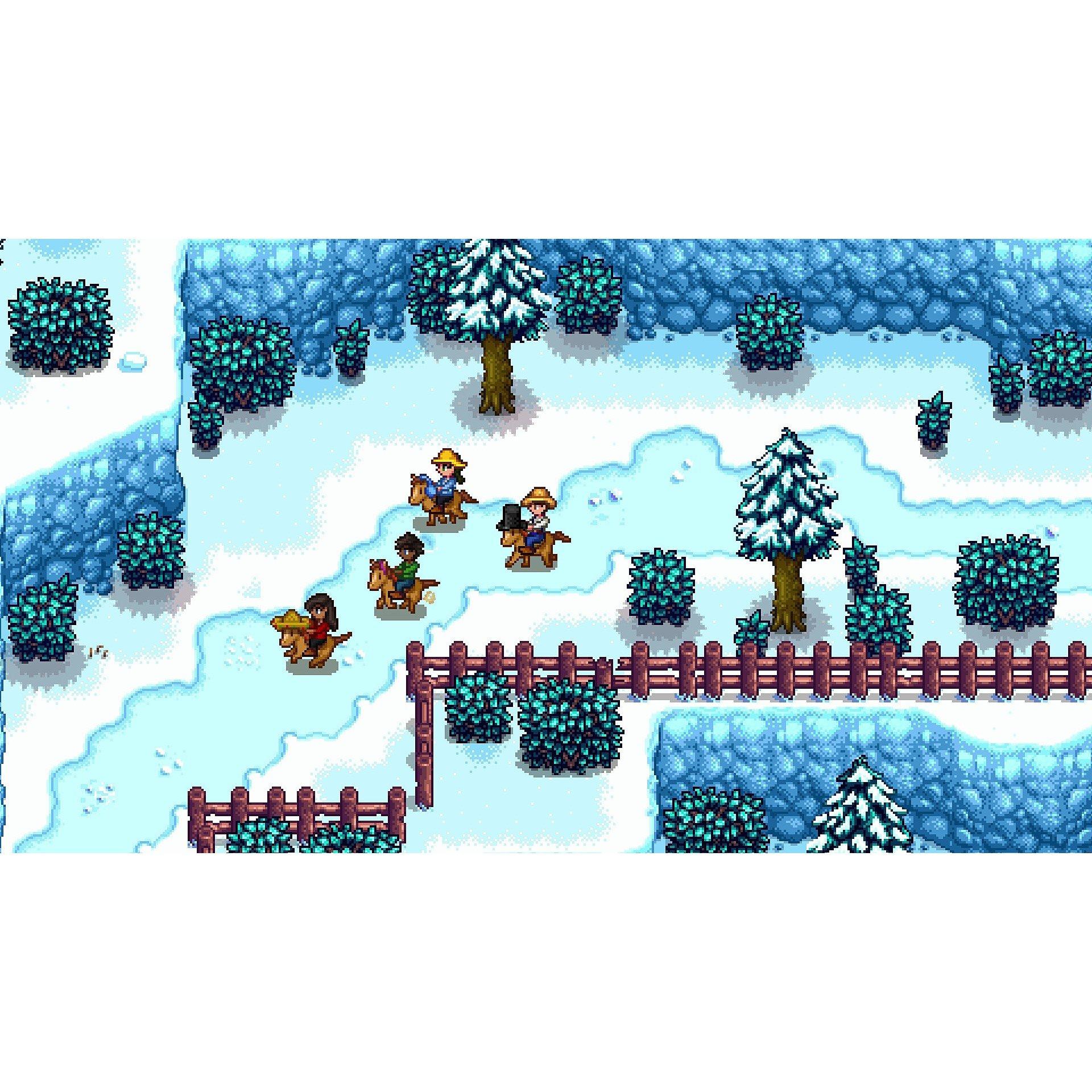 NSW - U and I Entertainment - Stardew Valley - 4