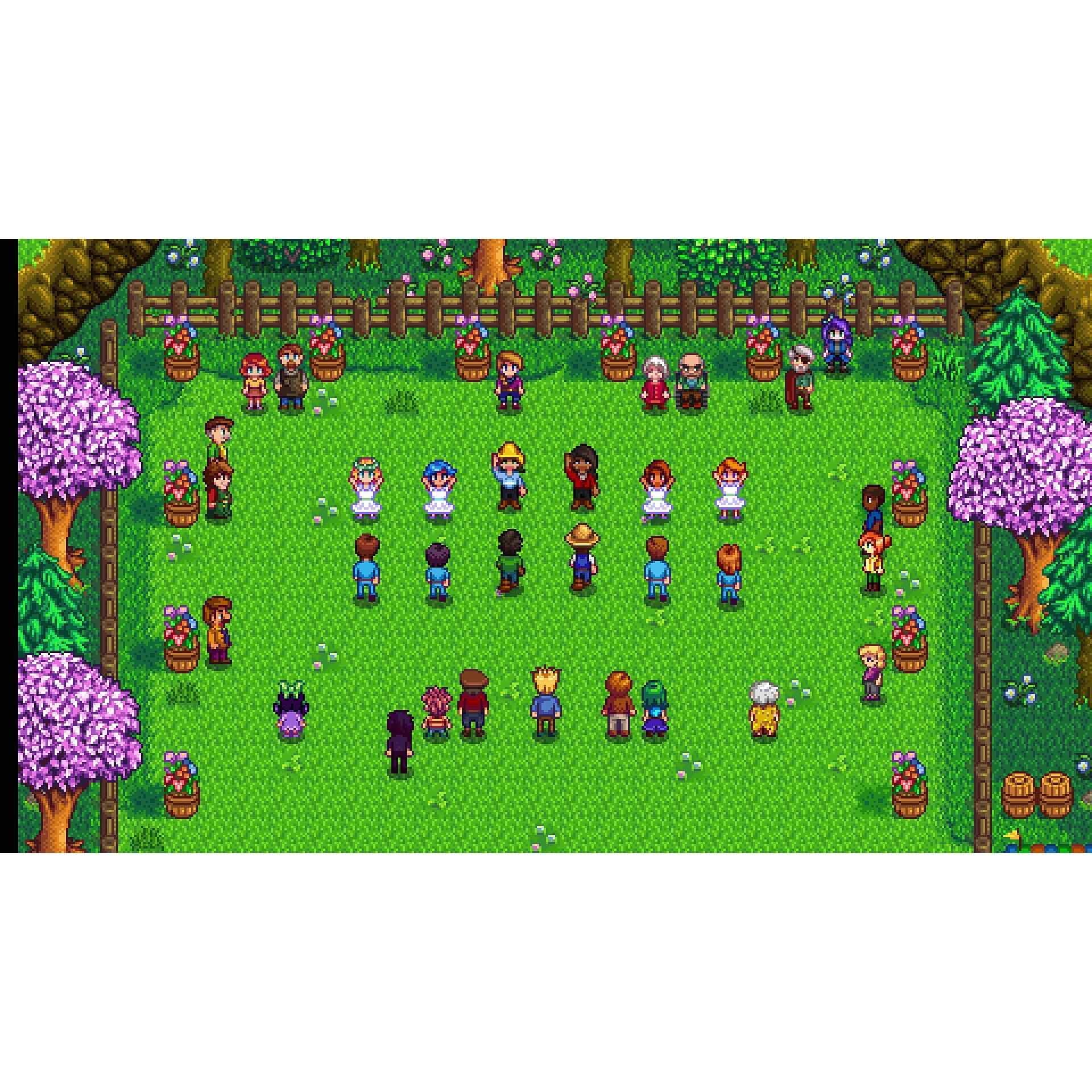 NSW - U and I Entertainment - Stardew Valley - 6