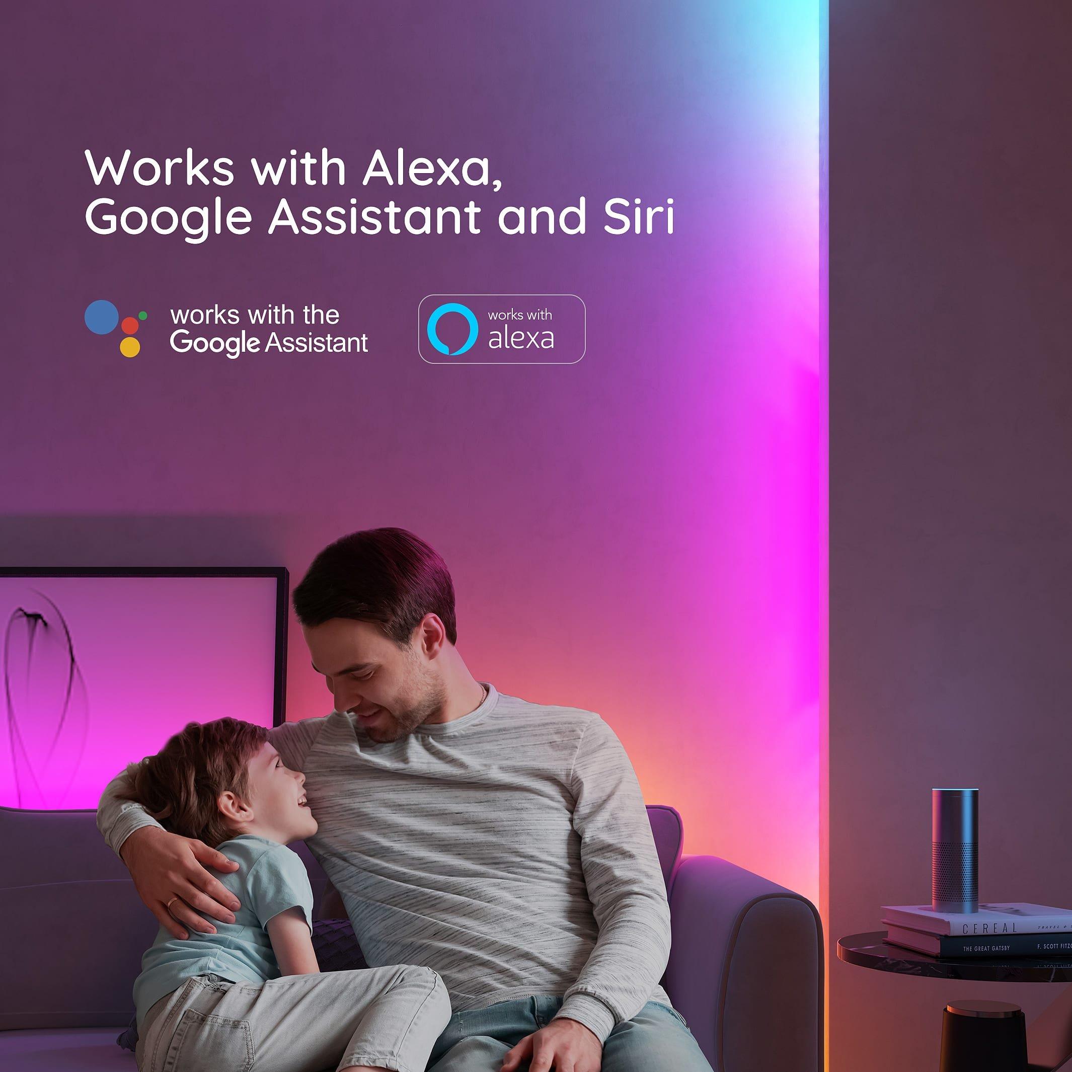 Multi - GOVEE - RGBIC LED Strip Lights (5M) - 3