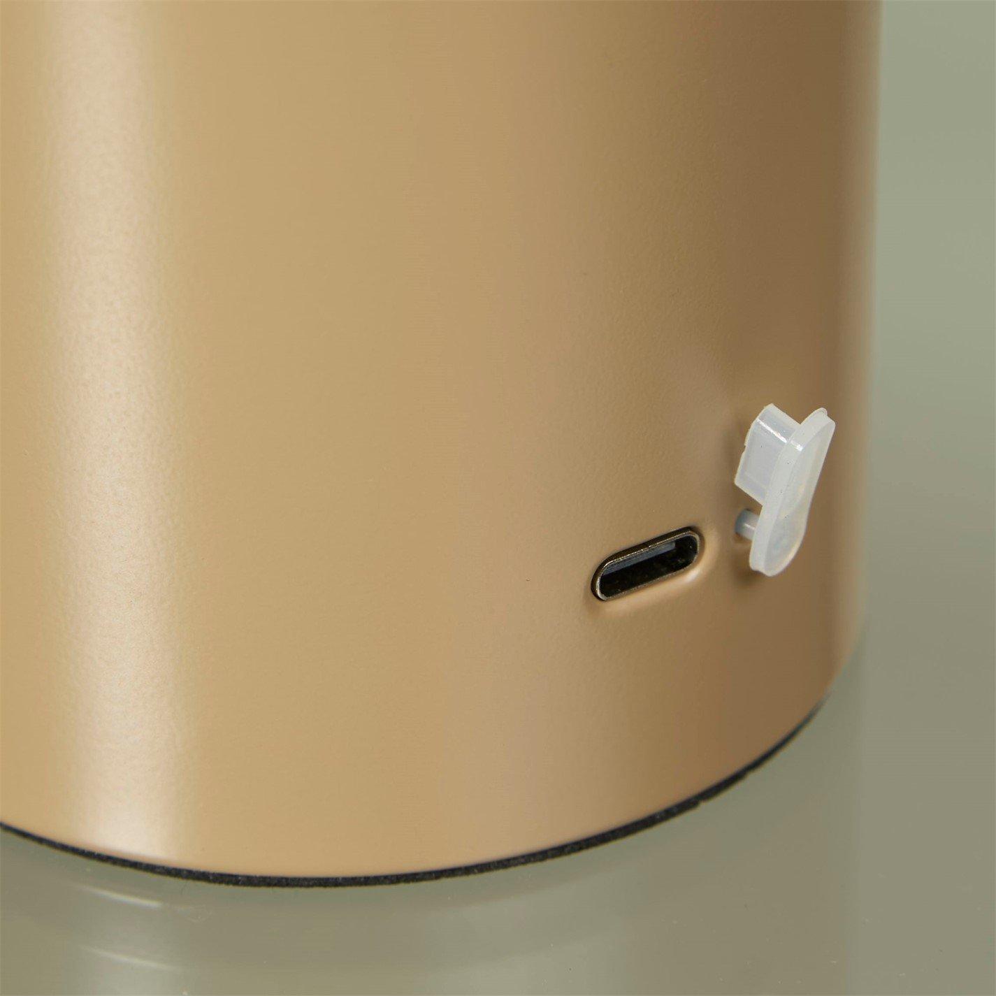 Natural Taupe - Lighting Collection - Rechargeable Taupe LED Mushroom Table Lamp - 4
