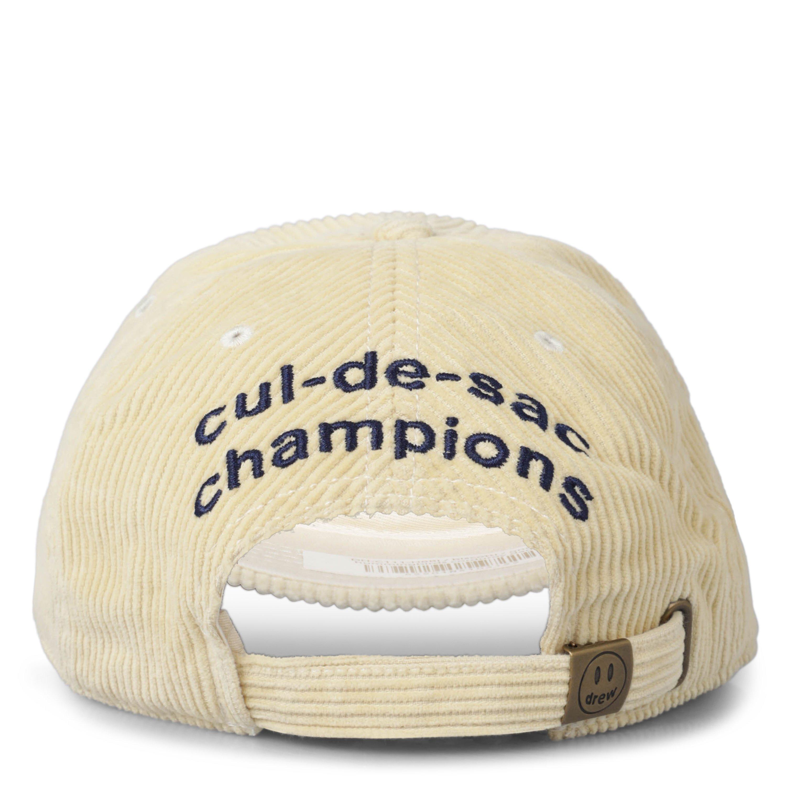 Biscotti - Drew House - Hummingbirds Corduroy Dad Baseball Cap - 4