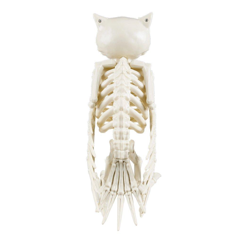 Beige - LIFE IDEAS - Spooky Owl Skeleton Figurine Bone Statue - 5