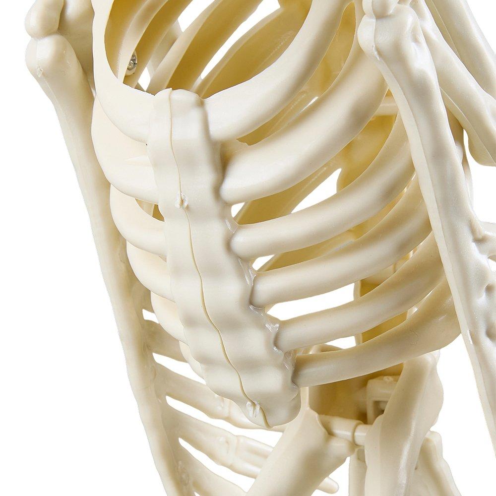 Beige - LIFE IDEAS - Spooky Owl Skeleton Figurine Bone Statue - 8