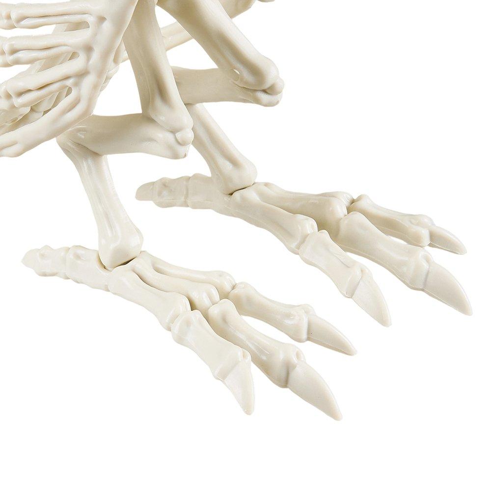 Beige - LIFE IDEAS - Spooky Owl Skeleton Figurine Bone Statue - 9