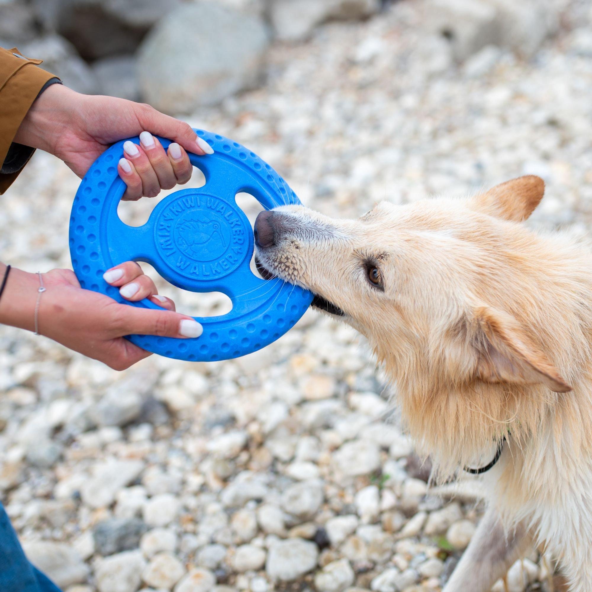 Orange - Kiwi Walker - Lets Play Orange Frisbee - 5
