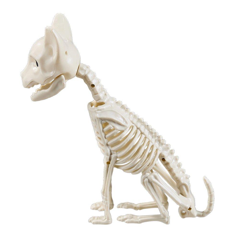 Beige - LIFE IDEAS - Spooky Cat Skeleton Figurine Bone Statue - 4