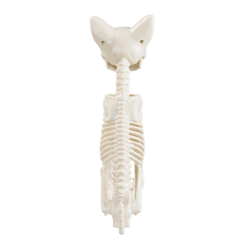 Beige - LIFE IDEAS - Spooky Cat Skeleton Figurine Bone Statue - 5