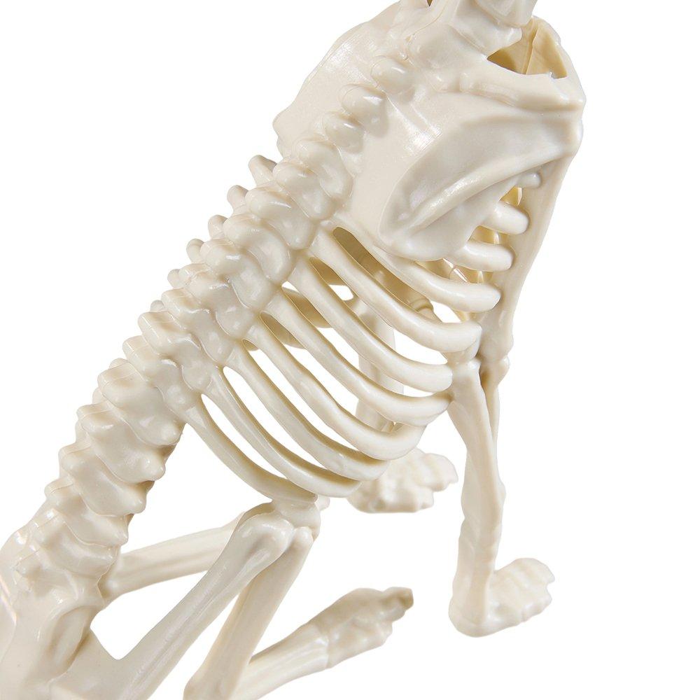 Beige - LIFE IDEAS - Spooky Cat Skeleton Figurine Bone Statue - 6