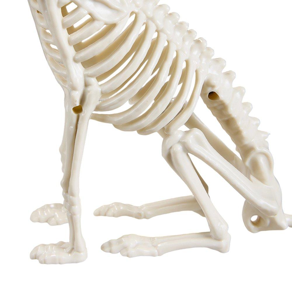 Beige - LIFE IDEAS - Spooky Cat Skeleton Figurine Bone Statue - 7