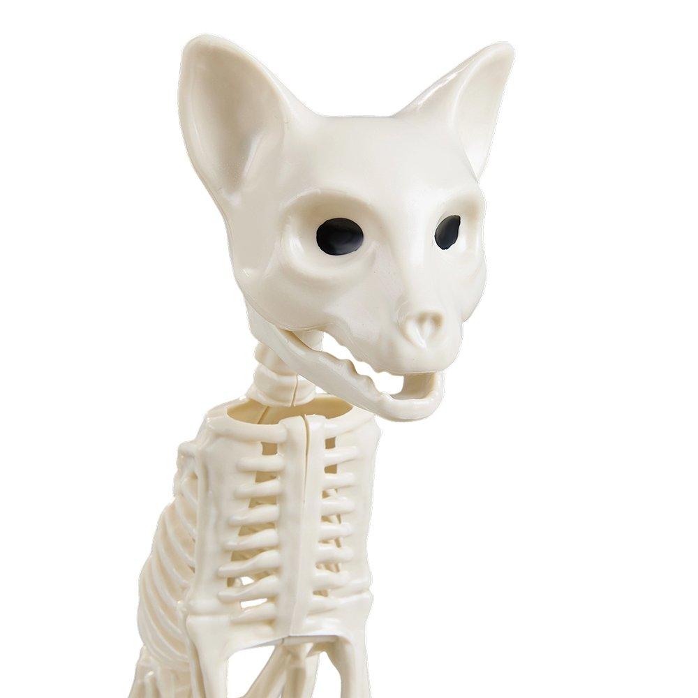 Beige - LIFE IDEAS - Spooky Cat Skeleton Figurine Bone Statue - 8