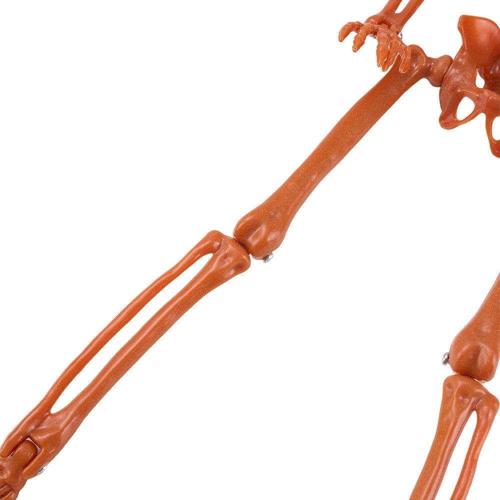 Orange - LIFE IDEAS - 38cm Posable Halloween Pumpkin Skeleton Decoration - 7