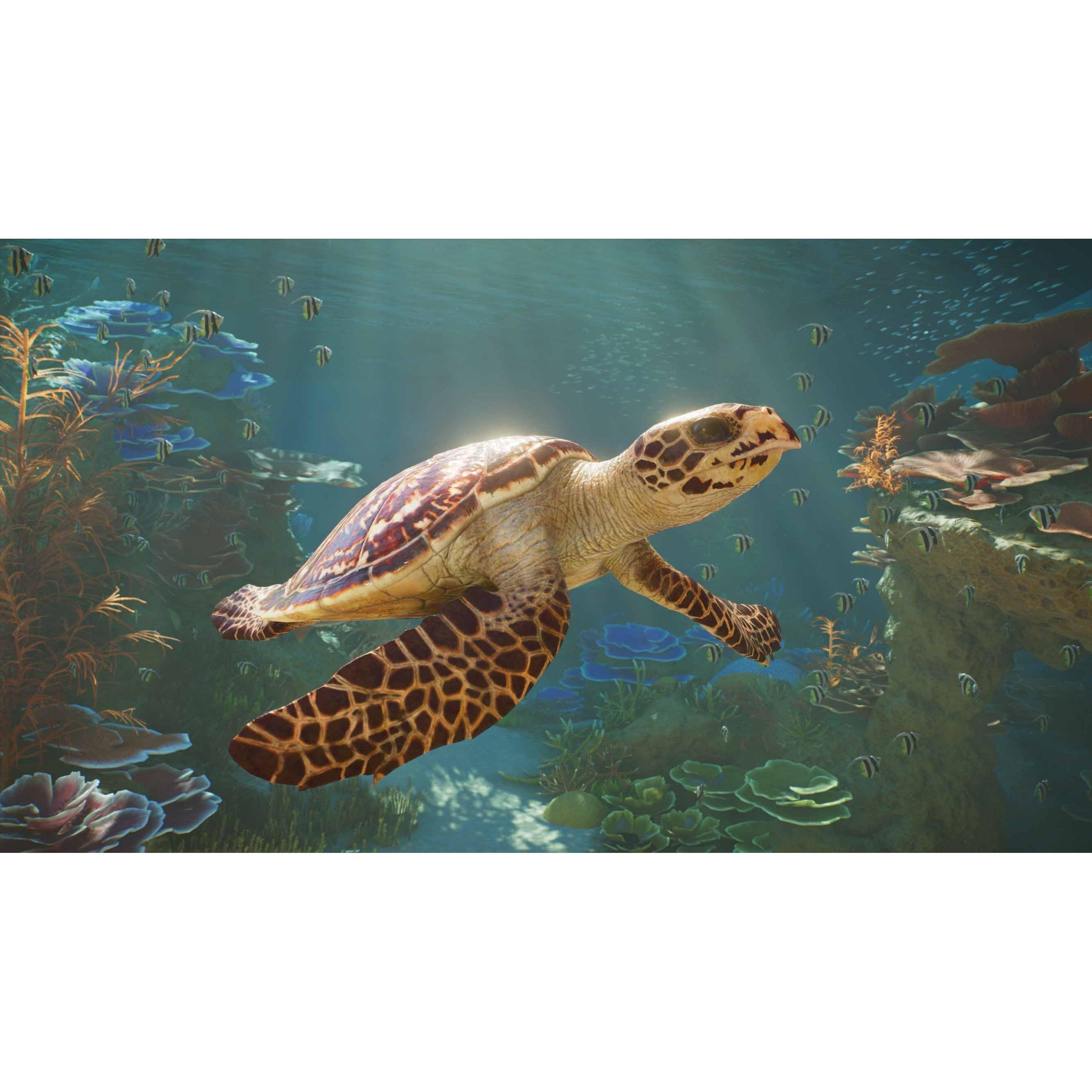XBS - Fireshine Games - Planet Zoo 2 XBS - 12