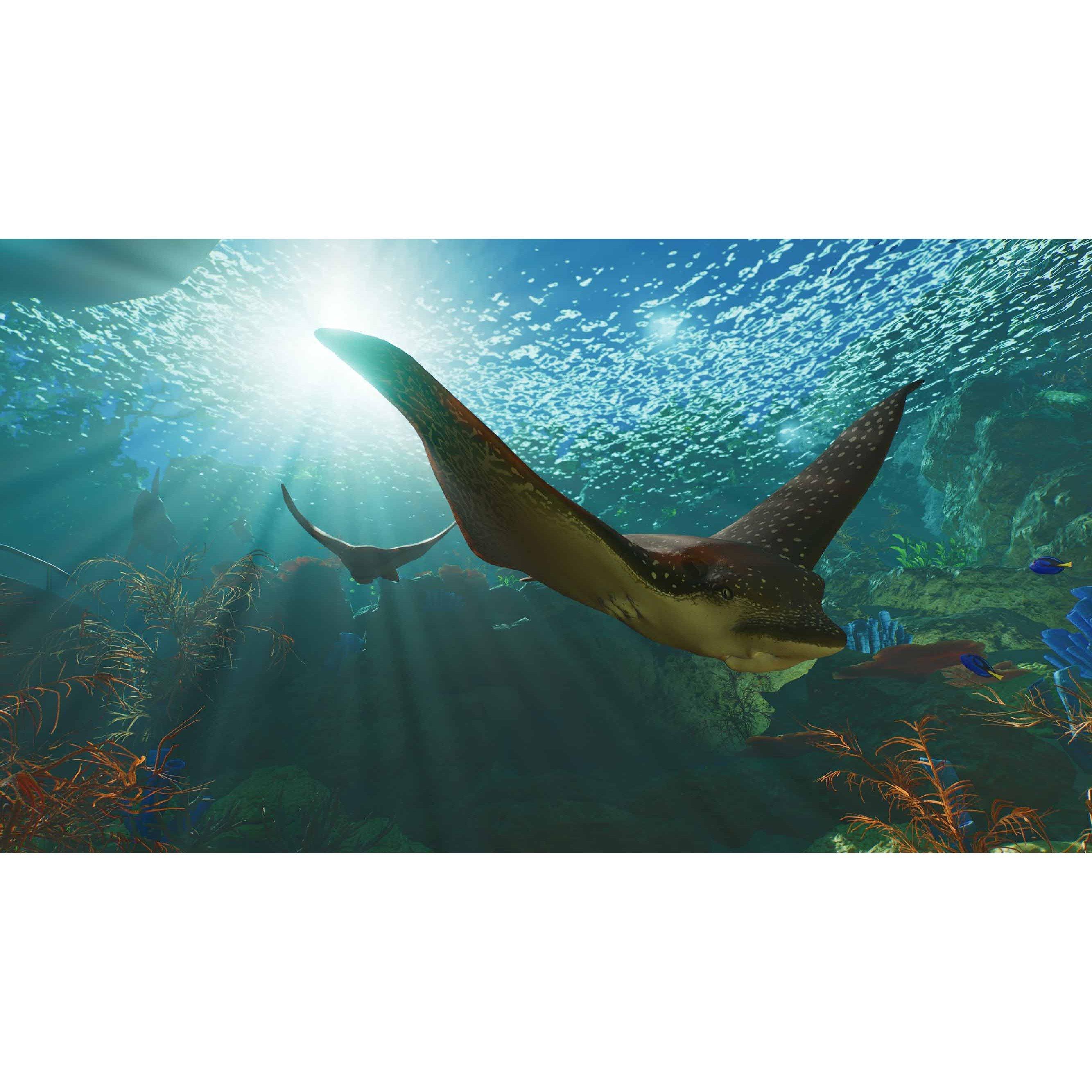 XBS - Fireshine Games - Planet Zoo 2 XBS - 6