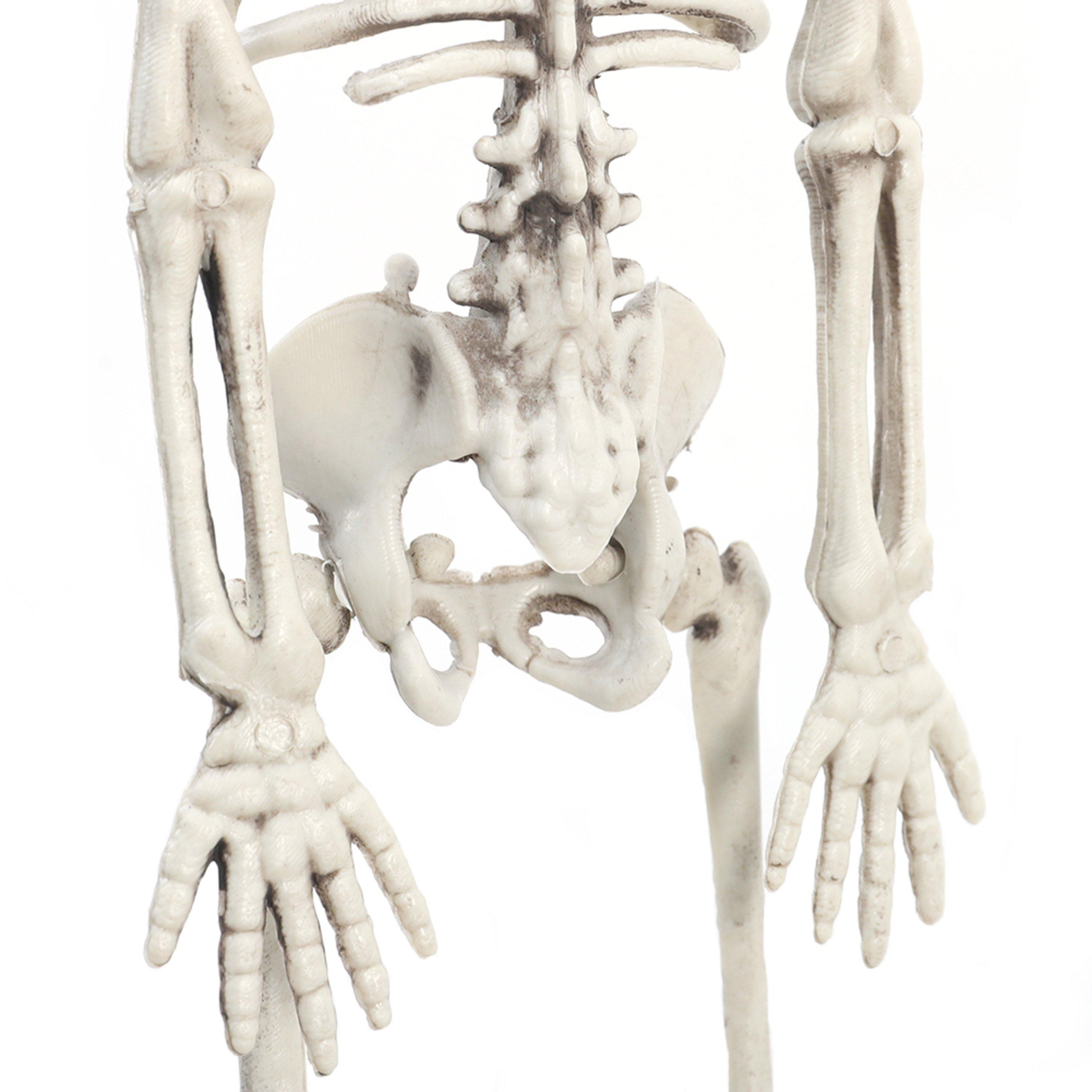 Distressed Whit - LIFE IDEAS - Realistic Posable Hanging Skeleton for Halloween - 11